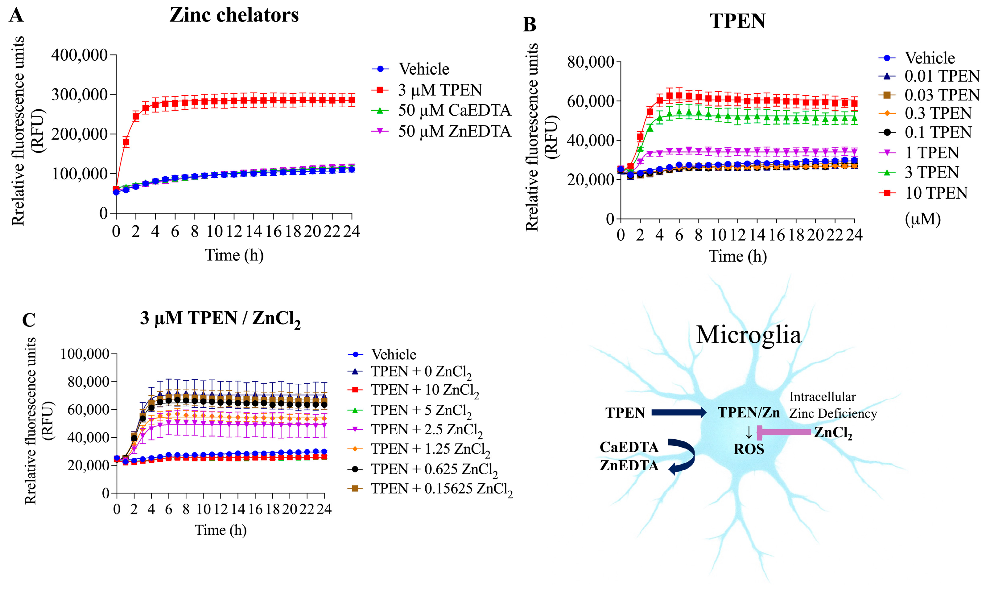 Biomolecules 16 00920 g003 Biomolecules 16 00920 g003