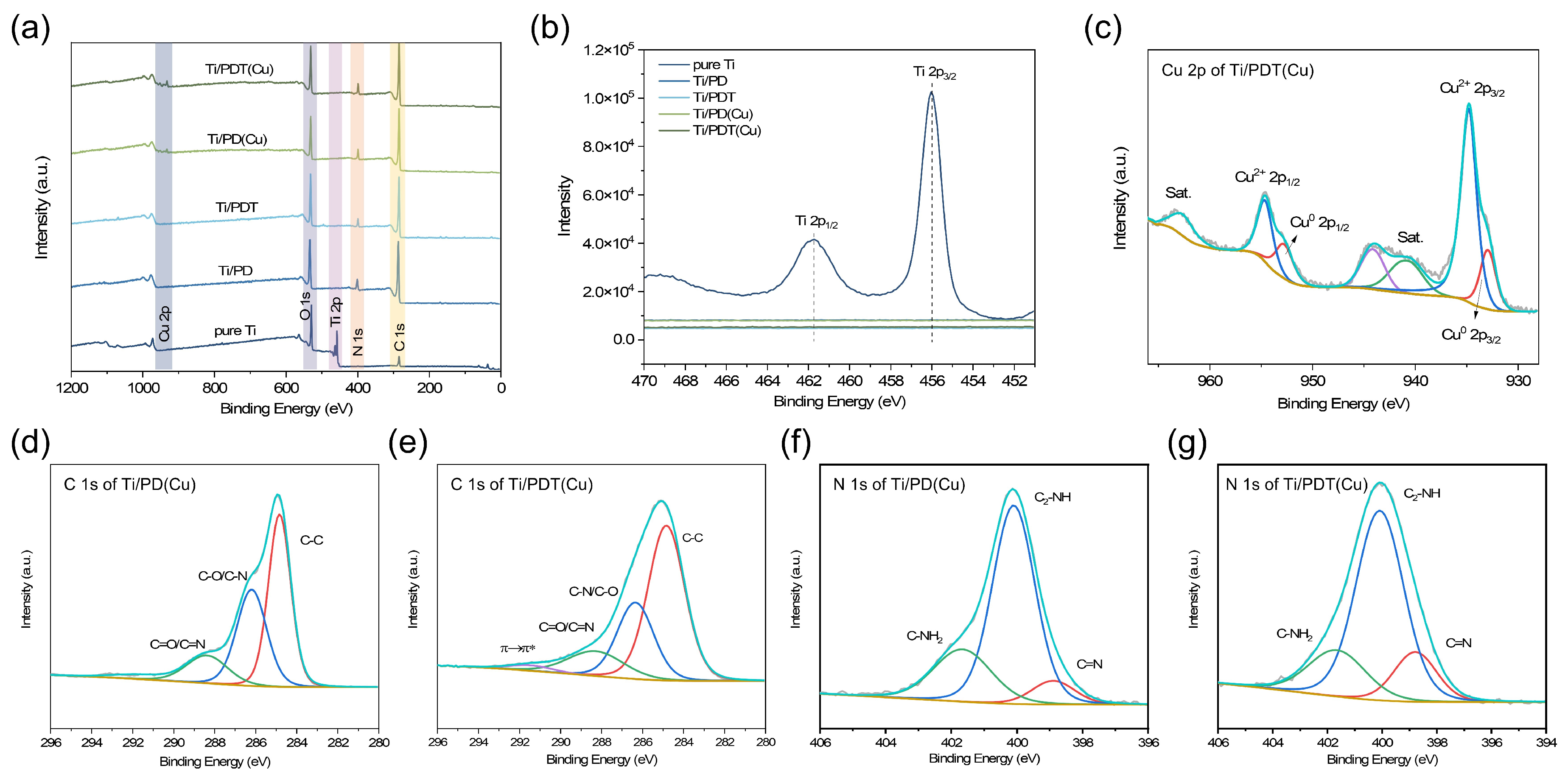 Biomolecules 16 00953 g002 Biomolecules 16 00953 g002