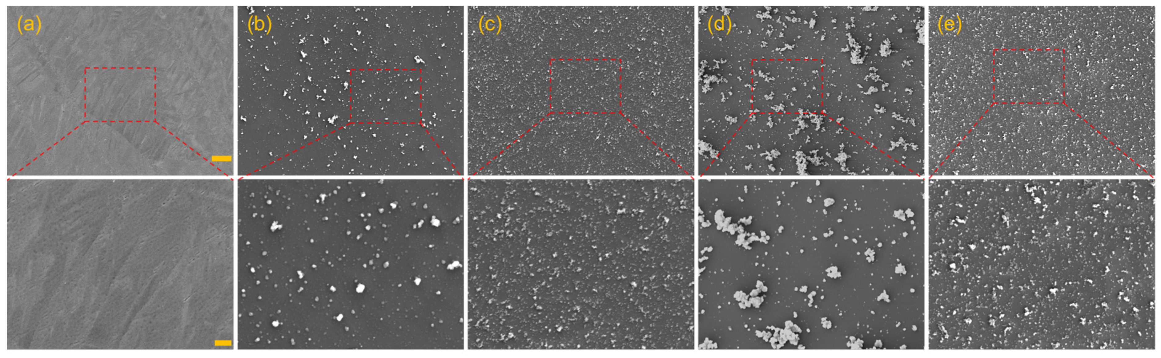 Biomolecules 16 00953 g003 Biomolecules 16 00953 g003