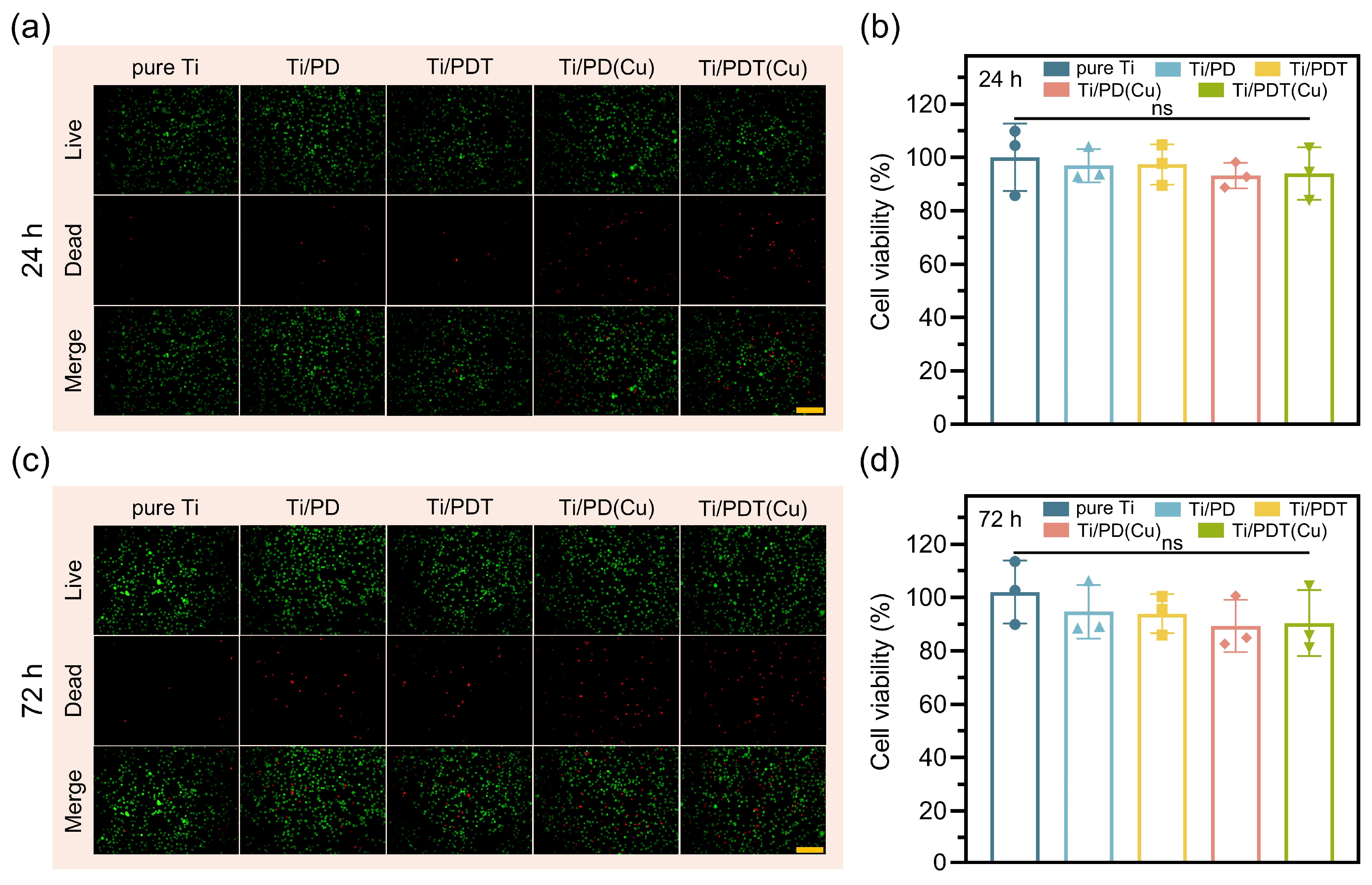 Biomolecules 16 00953 g007 Biomolecules 16 00953 g007