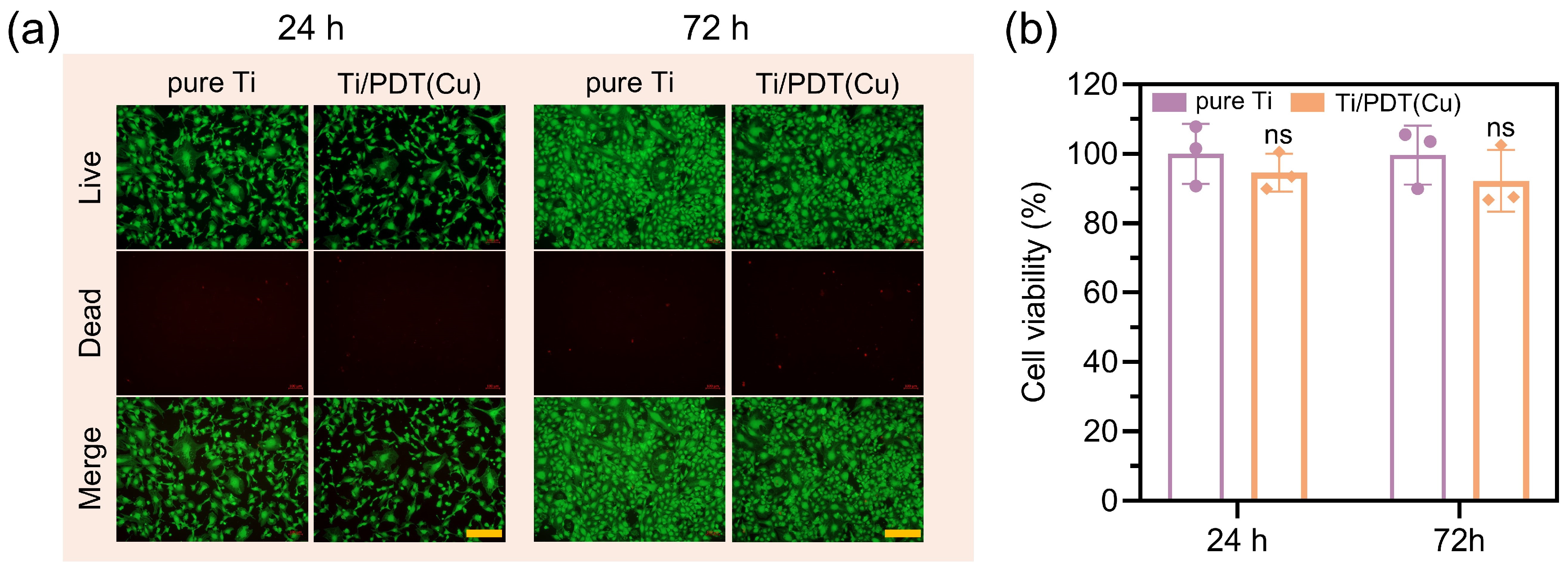 Biomolecules 16 00953 g008 Biomolecules 16 00953 g008