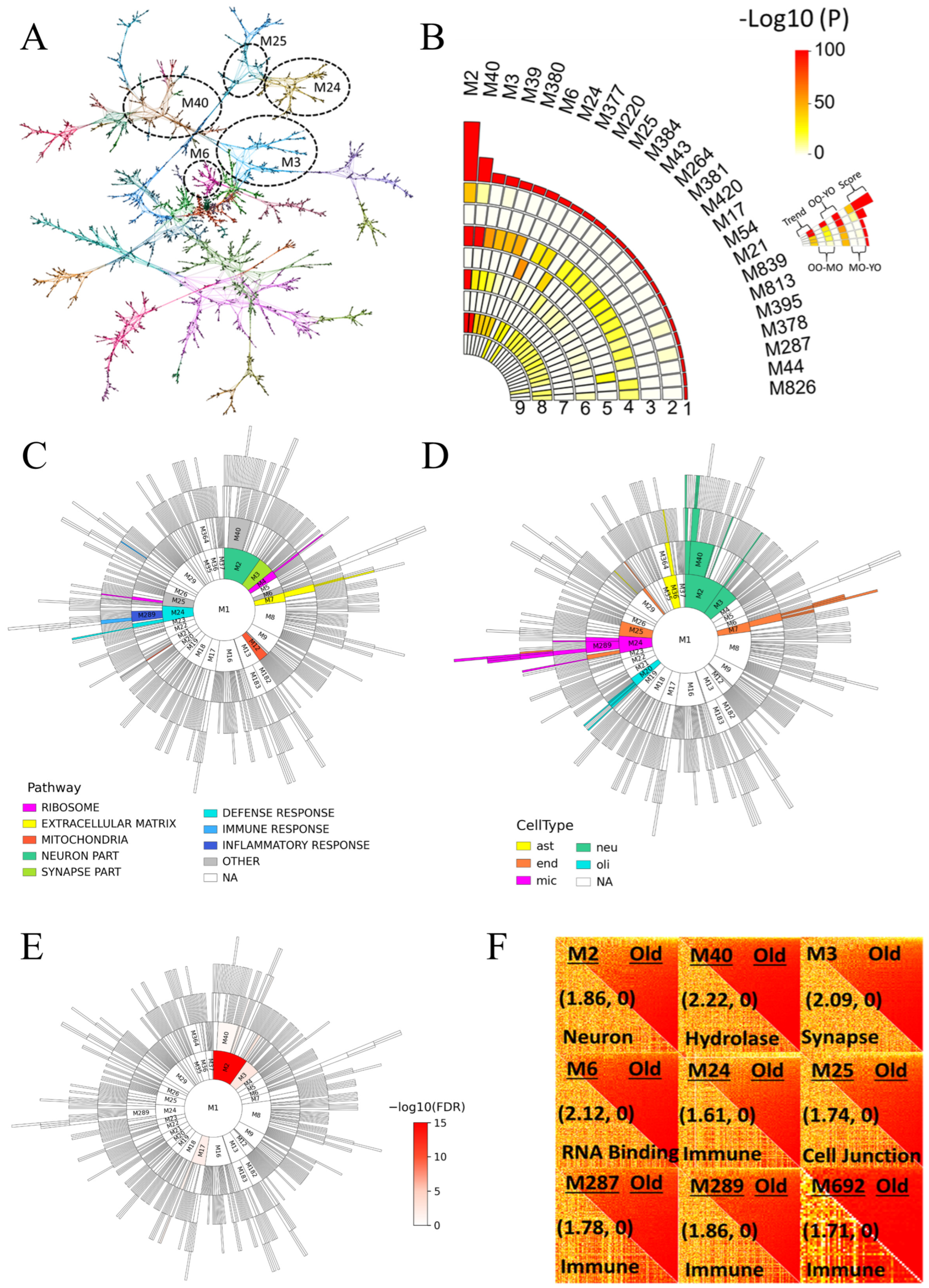 Biomolecules 16 00992 g002 Biomolecules 16 00992 g002