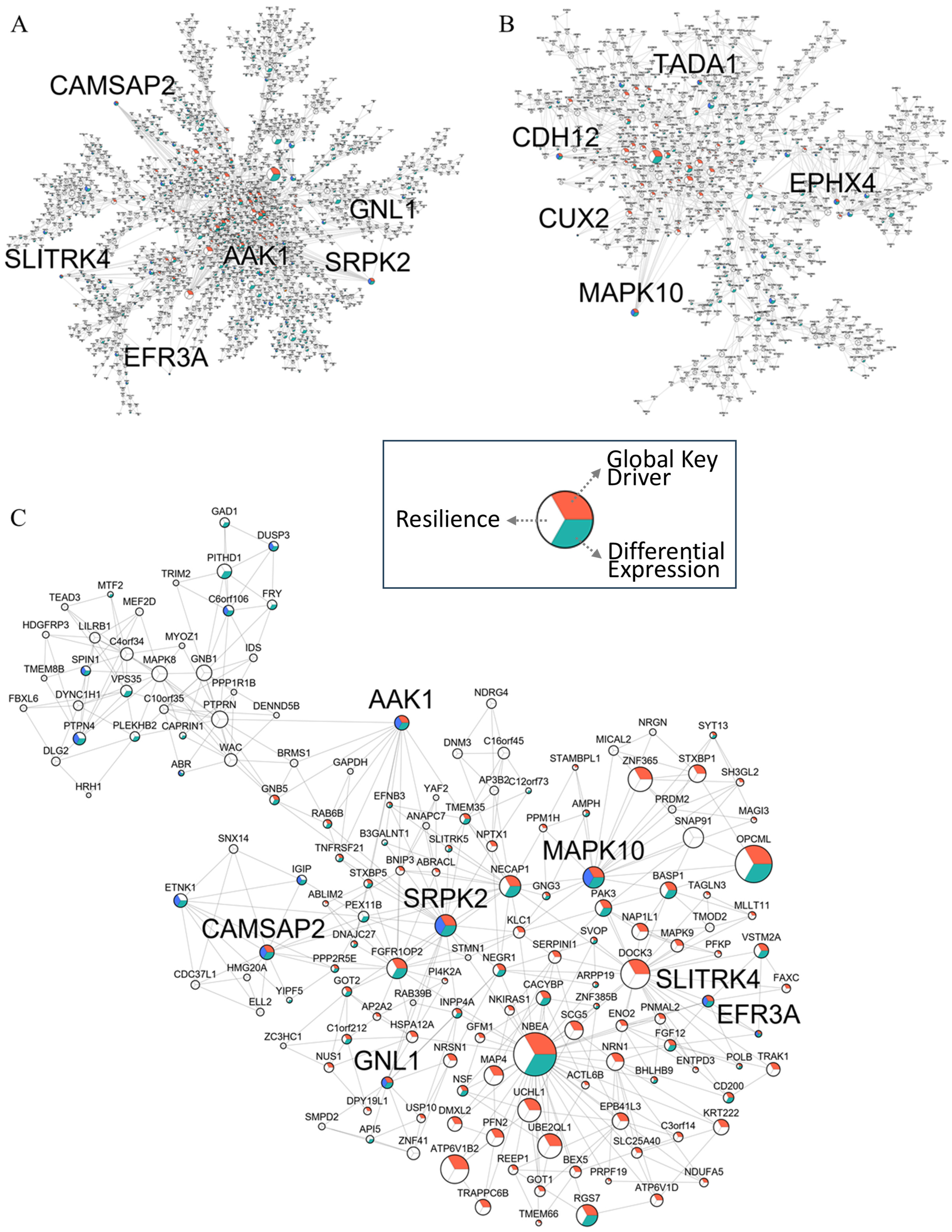 Biomolecules 16 00992 g004 Biomolecules 16 00992 g004