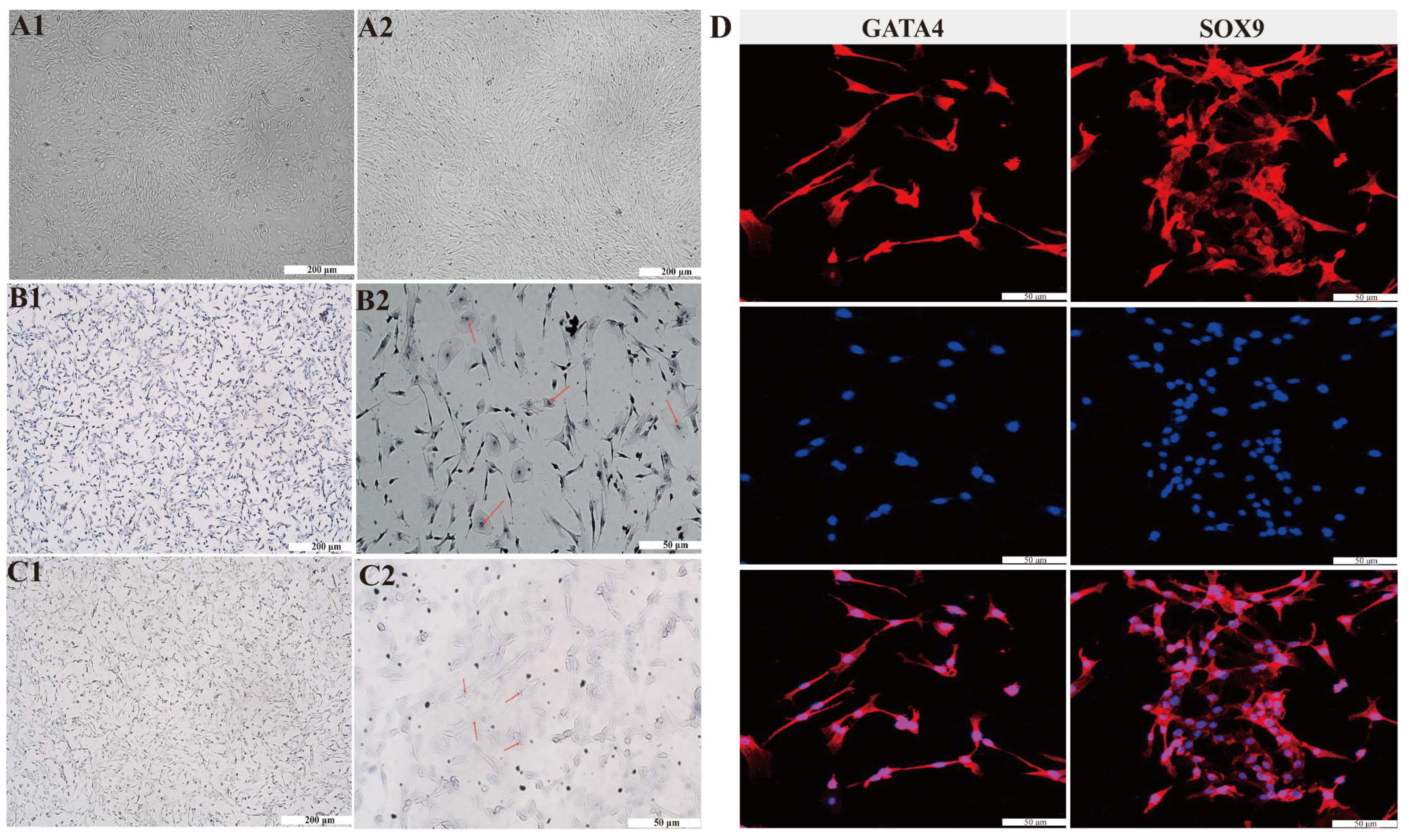 Biomolecules 16 00995 g001