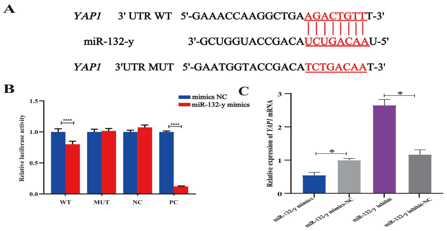 Biomolecules 16 00995 g005