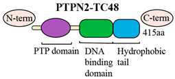 Biomolecules 16 01016 i001 Biomolecules 16 01016 i001