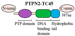 Biomolecules 16 01016 i002 Biomolecules 16 01016 i002