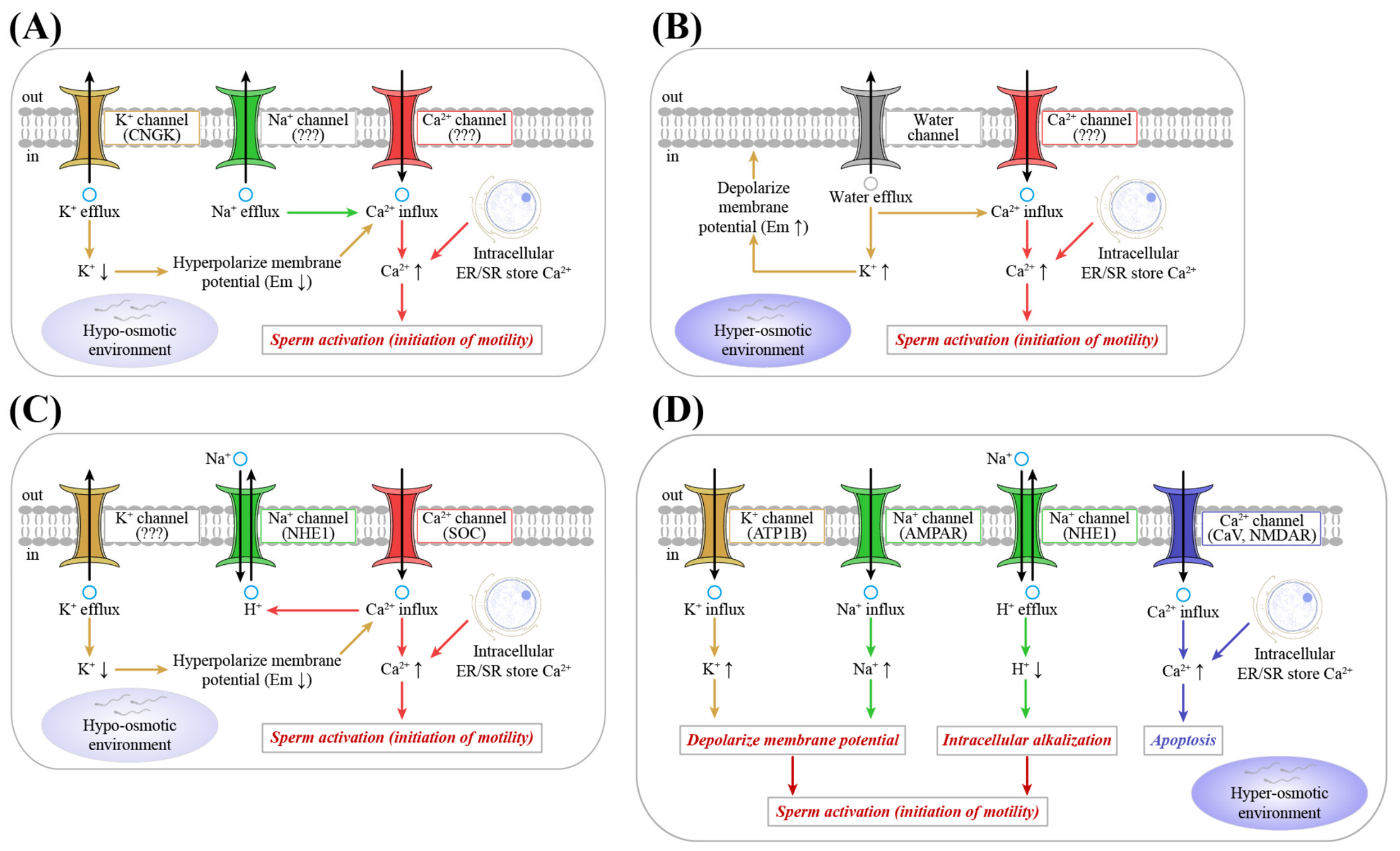 Biomolecules 16 01021 g008 Biomolecules 16 01021 g008