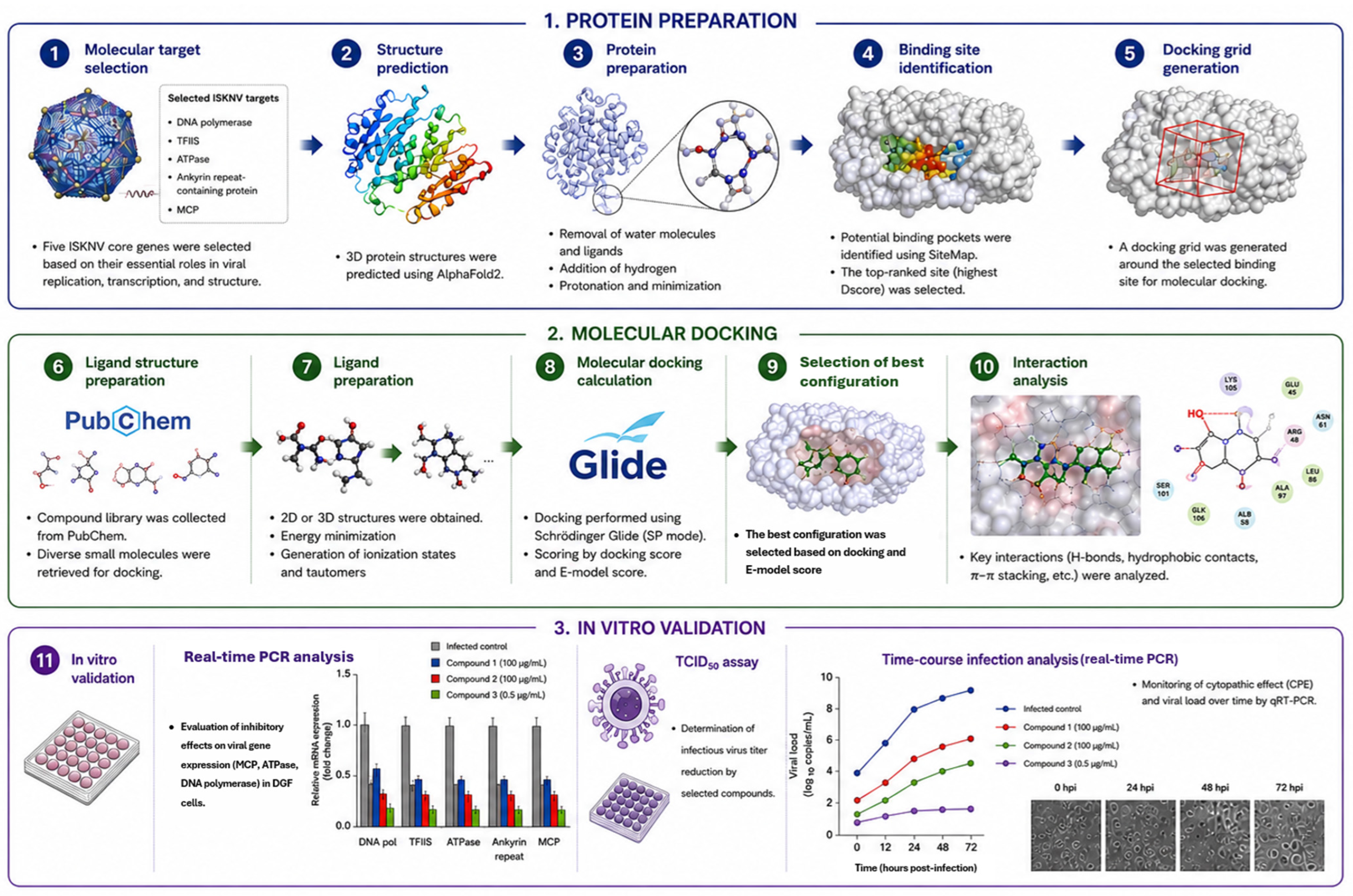 Biomolecules 16 01022 g001 Biomolecules 16 01022 g001