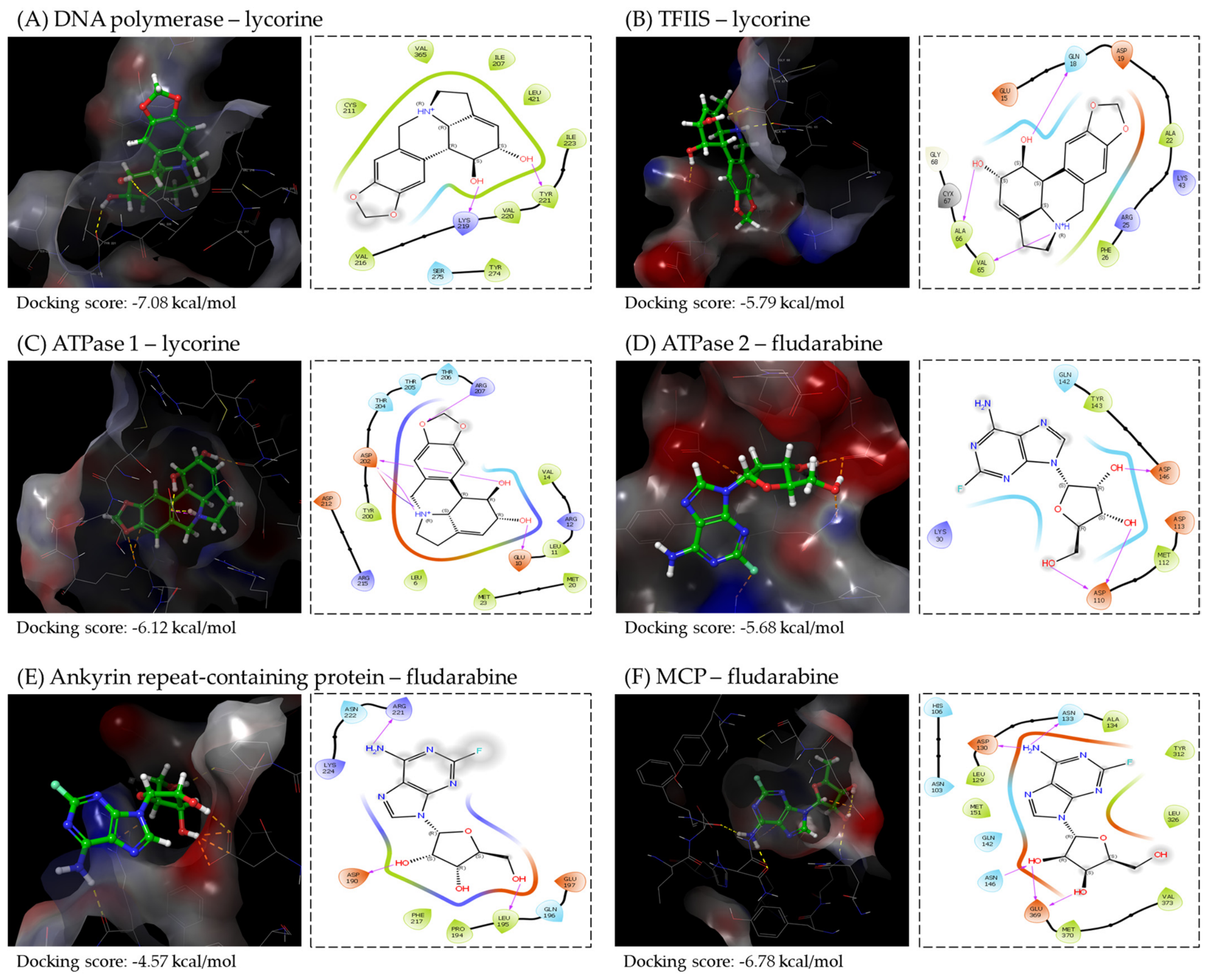 Biomolecules 16 01022 g002 Biomolecules 16 01022 g002