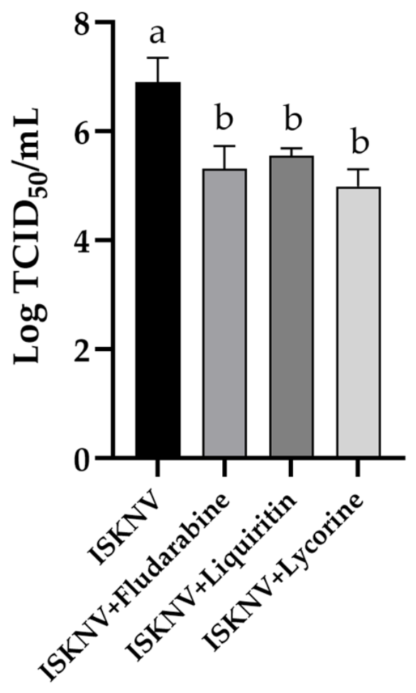 Biomolecules 16 01022 g004 Biomolecules 16 01022 g004