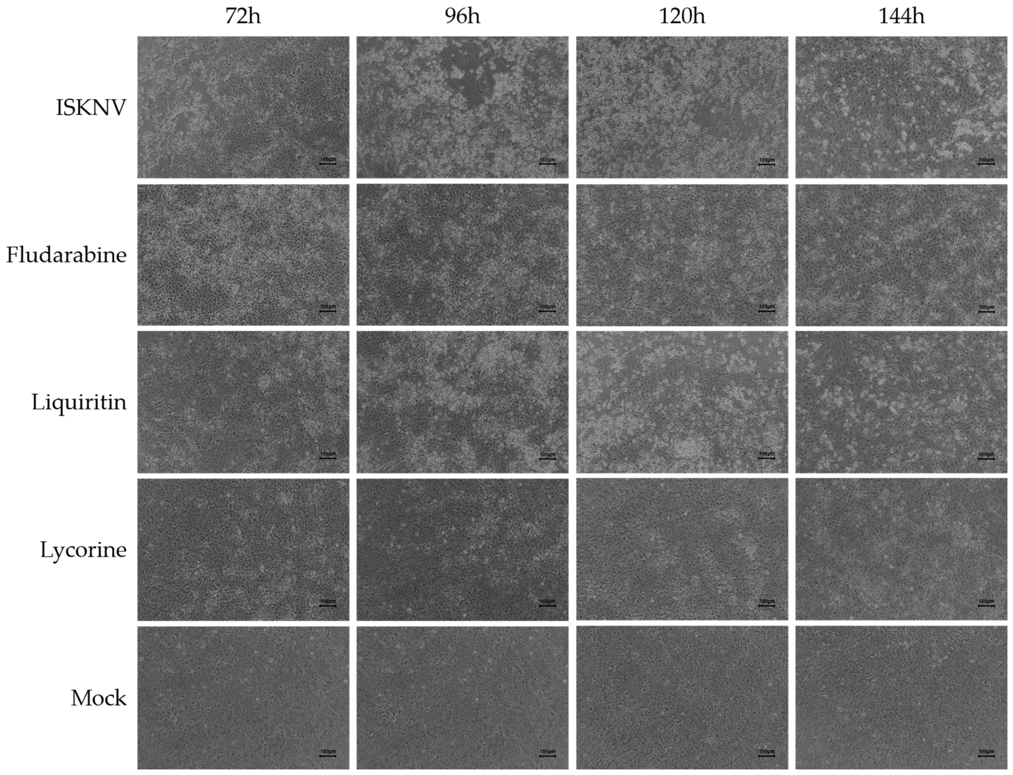 Biomolecules 16 01022 g005 Biomolecules 16 01022 g005