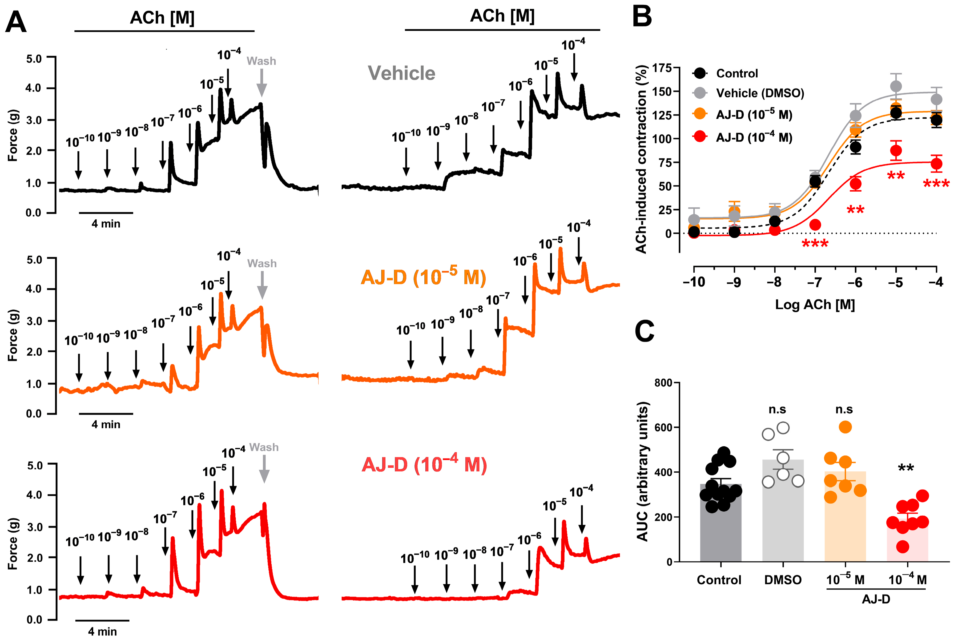 Biomolecules 16 01045 g002 Biomolecules 16 01045 g002