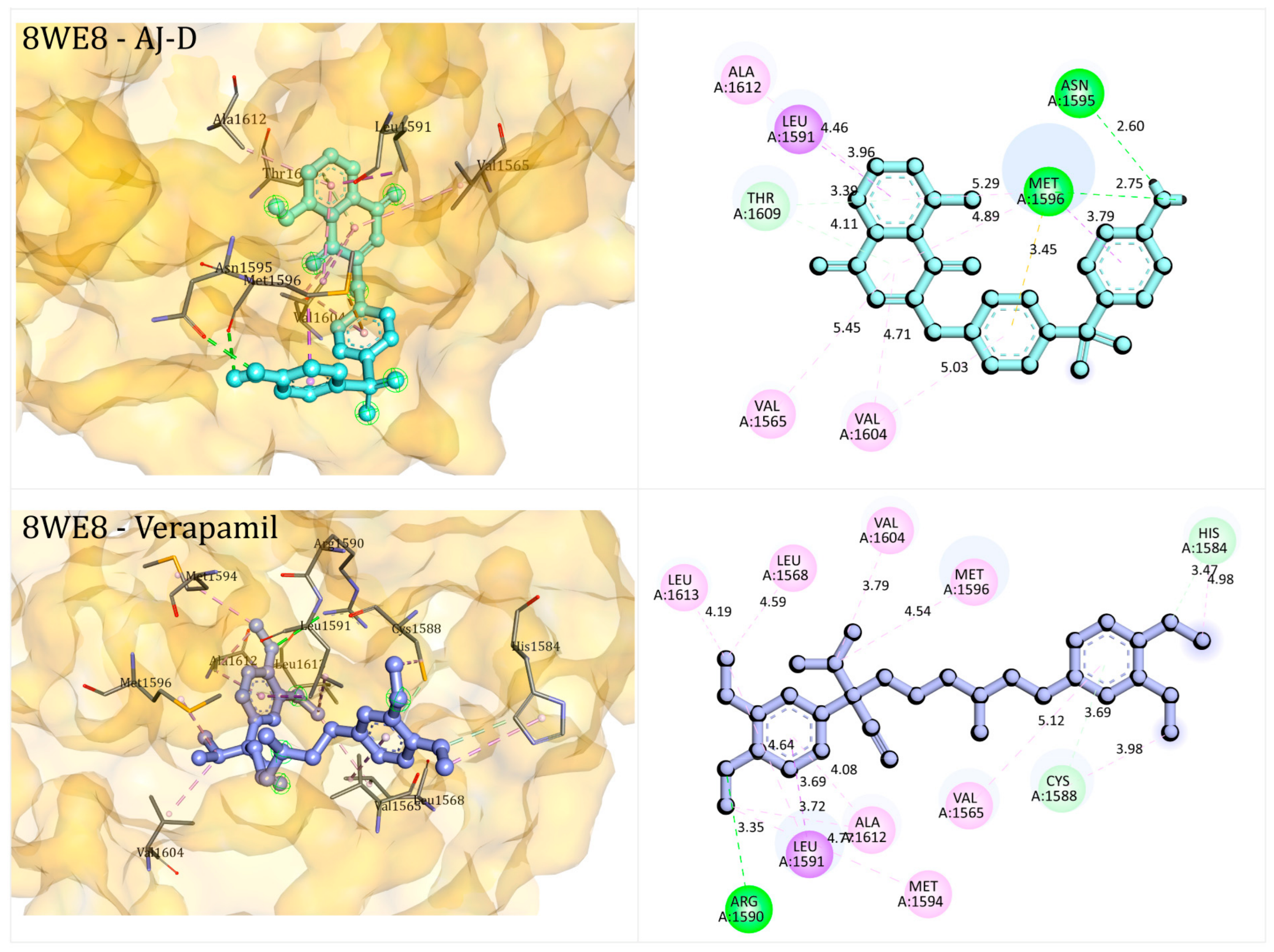 Biomolecules 16 01045 g005 Biomolecules 16 01045 g005
