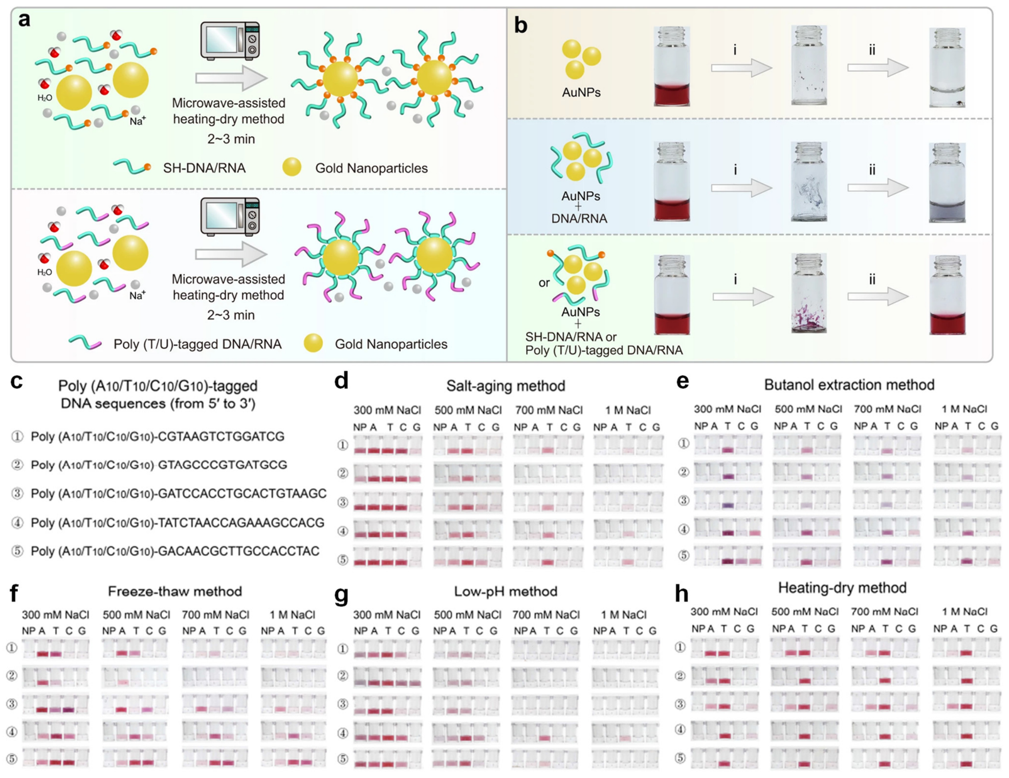 Biomolecules 16 01105 g003 Biomolecules 16 01105 g003