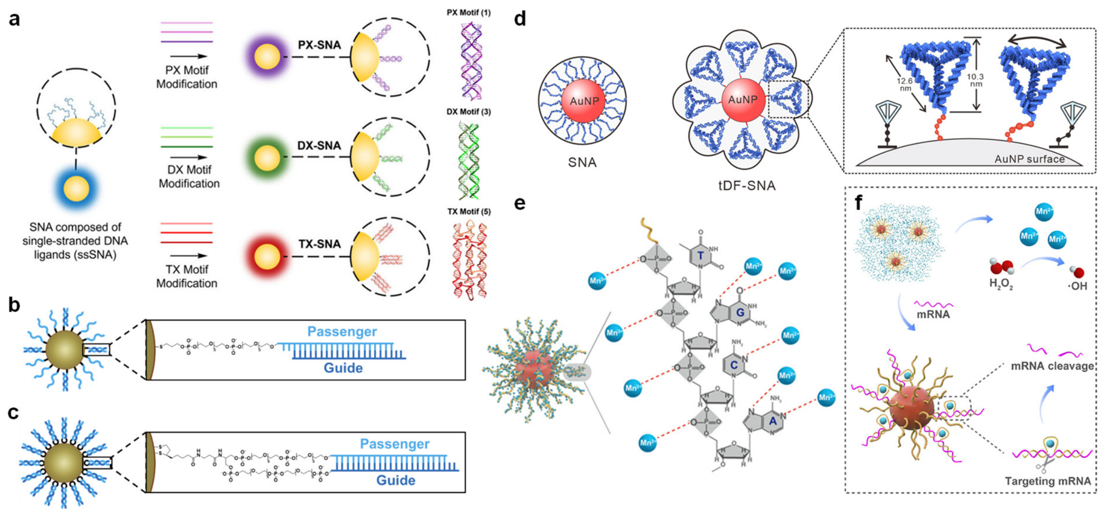 Biomolecules 16 01105 g005 Biomolecules 16 01105 g005