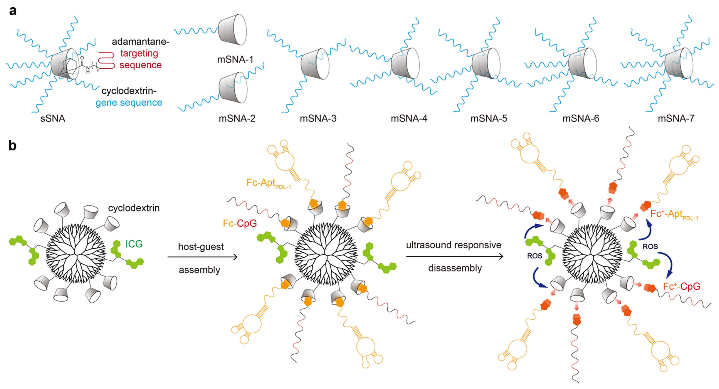 Biomolecules 16 01105 g006 Biomolecules 16 01105 g006