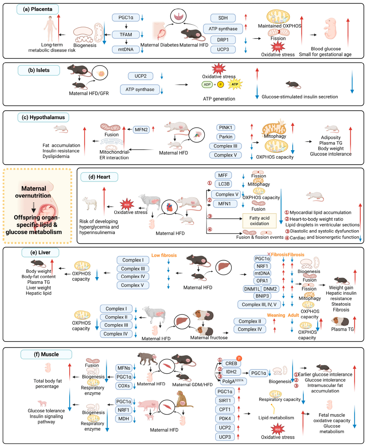 Biomolecules 16 01106 g002 Biomolecules 16 01106 g002