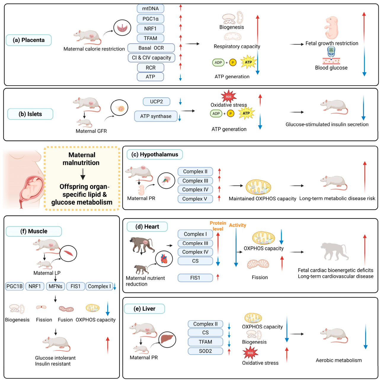 Biomolecules 16 01106 g003 Biomolecules 16 01106 g003