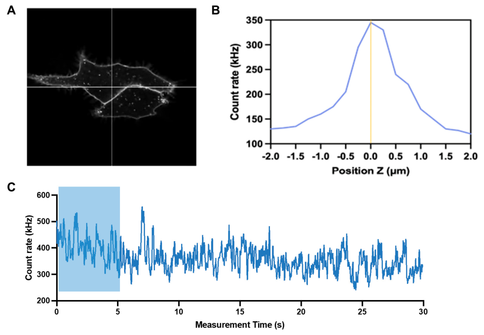 Biomolecules 16 01107 g002 Biomolecules 16 01107 g002