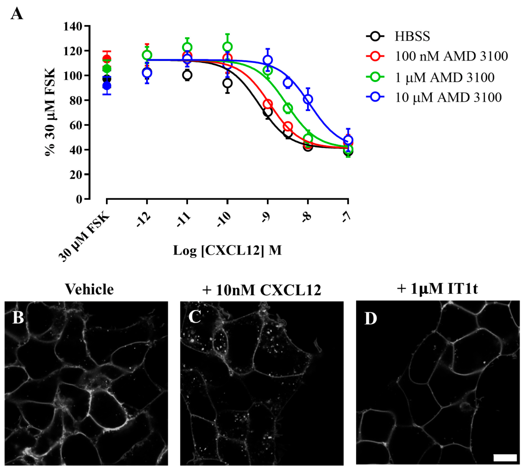 Biomolecules 16 01107 g005 Biomolecules 16 01107 g005
