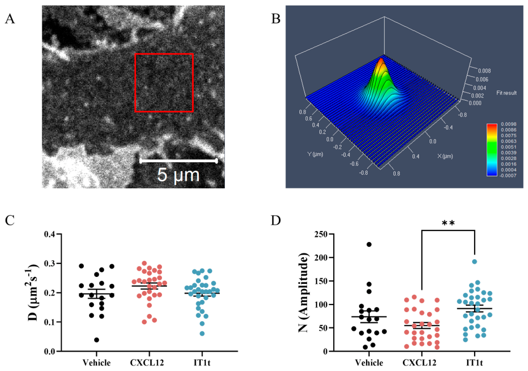 Biomolecules 16 01107 g007 Biomolecules 16 01107 g007