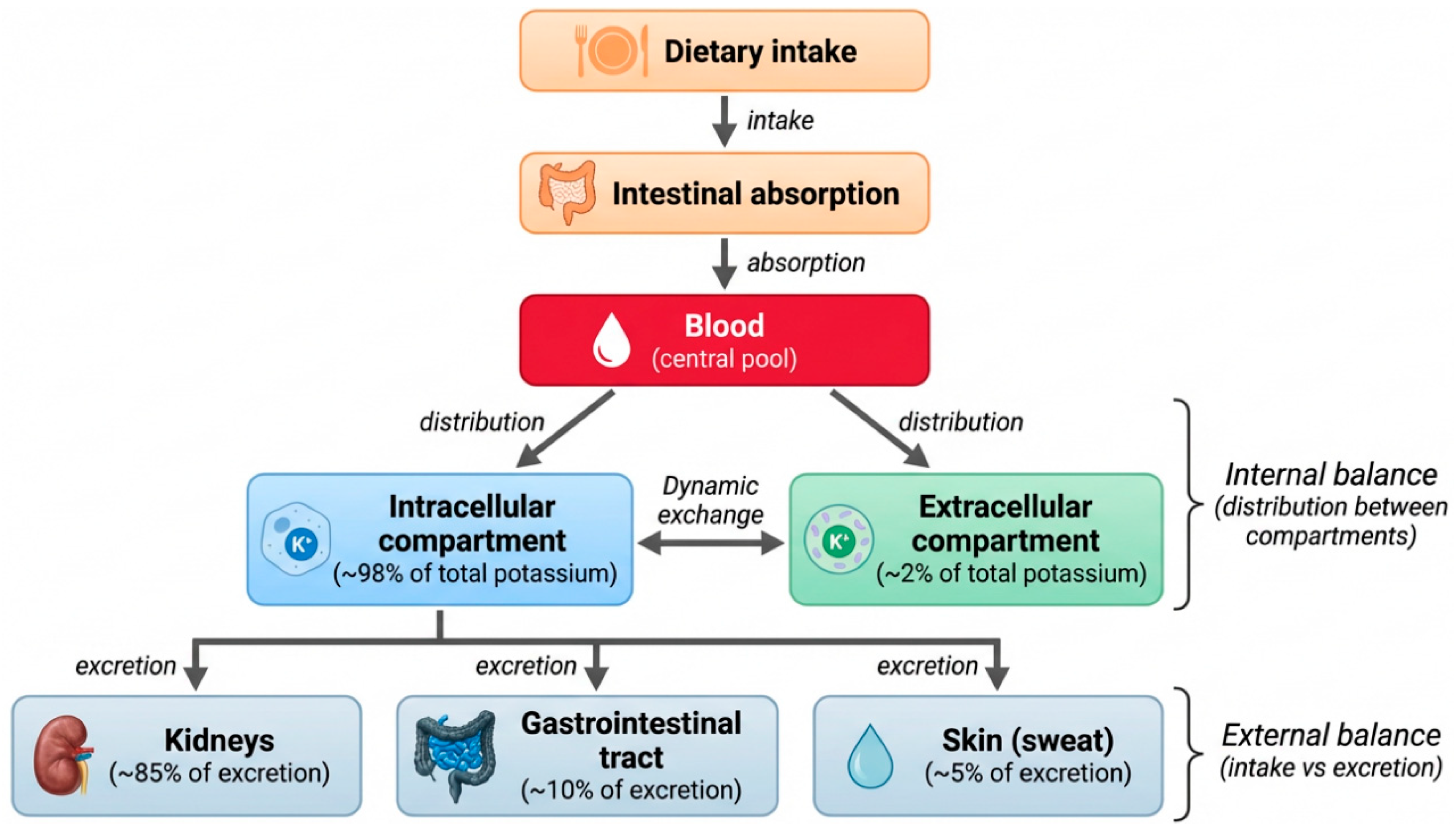 Biomolecules 16 01127 g001 Biomolecules 16 01127 g001