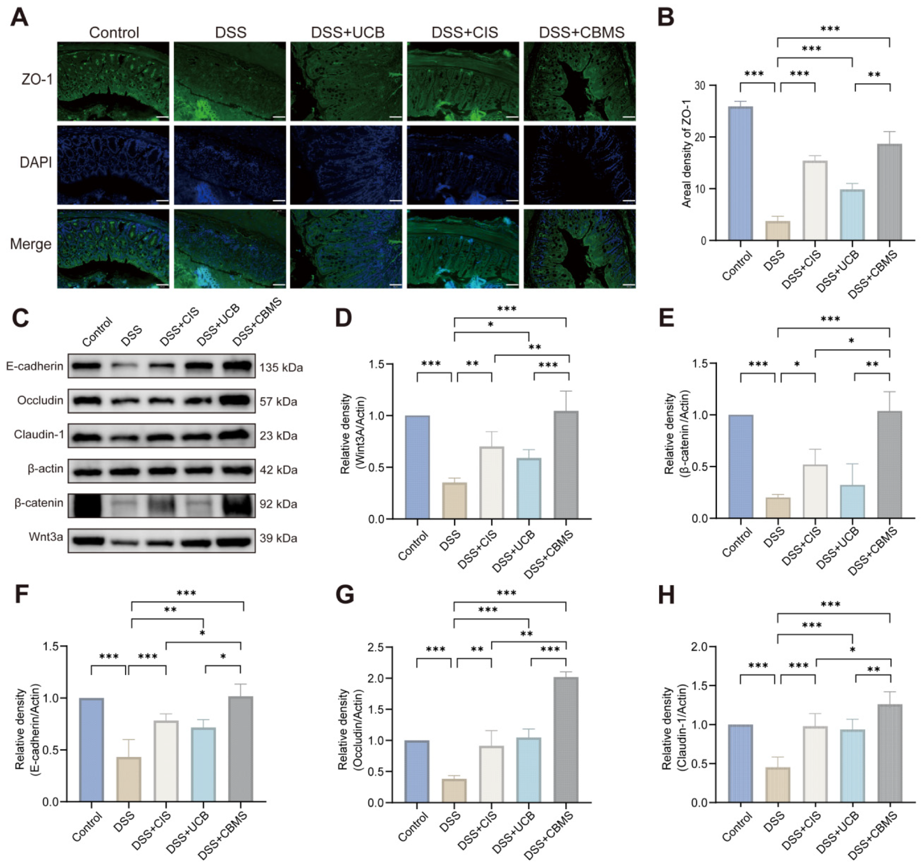 Biomolecules 16 01140 g004 Biomolecules 16 01140 g004