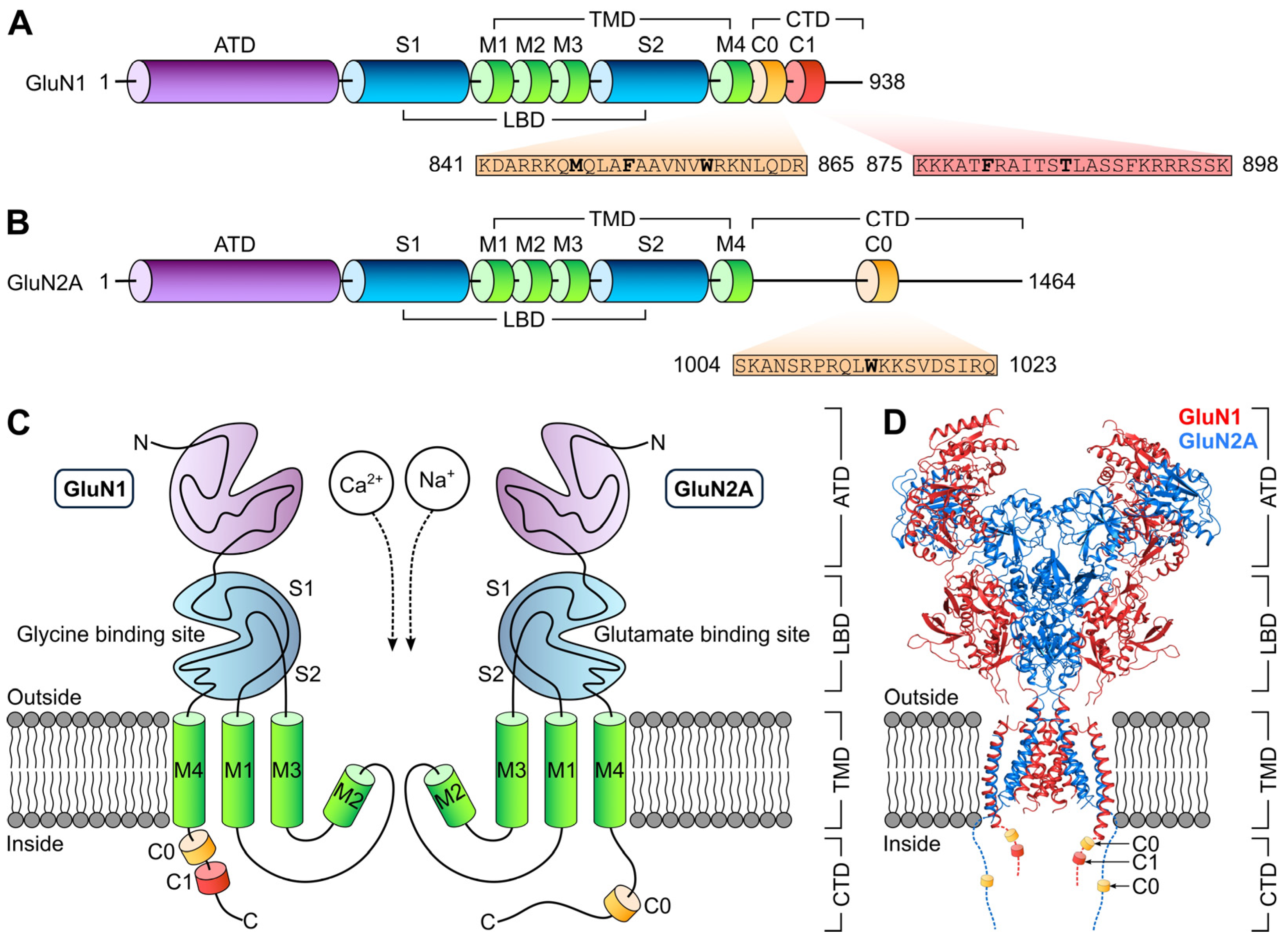 Biomolecules 16 01146 g001 Biomolecules 16 01146 g001