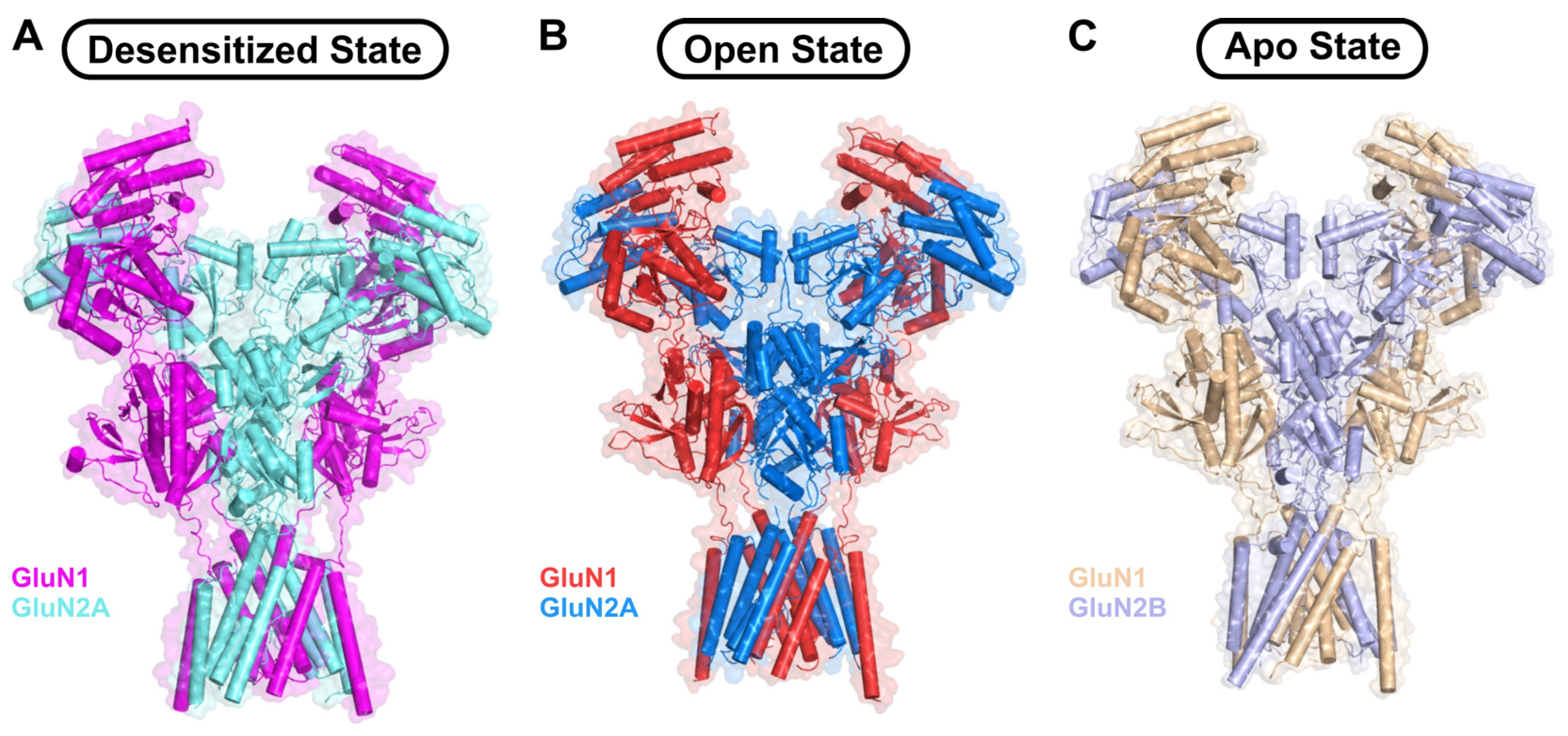 Biomolecules 16 01146 g002 Biomolecules 16 01146 g002