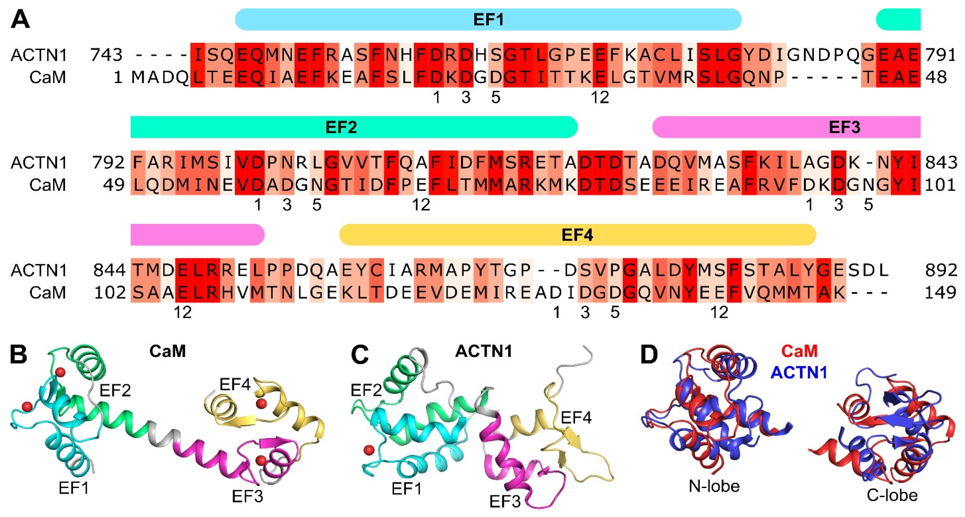 Biomolecules 16 01146 g003 Biomolecules 16 01146 g003