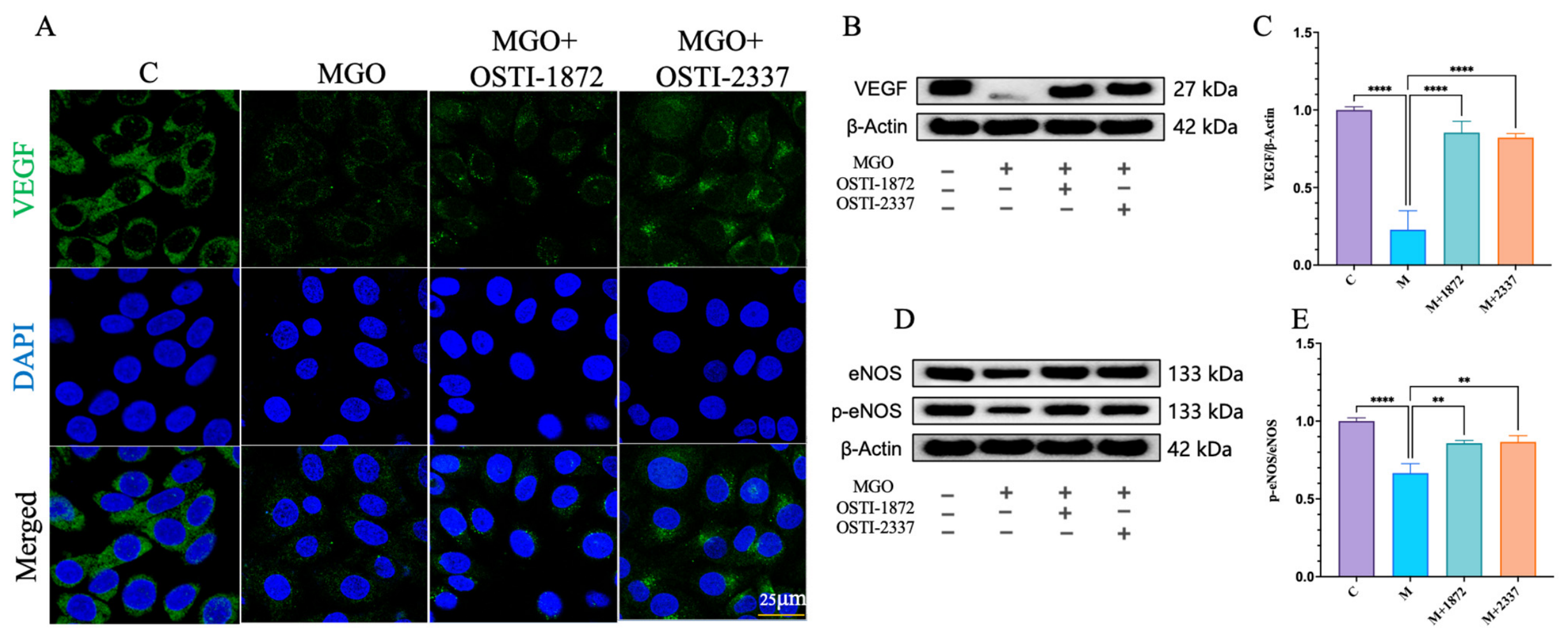 Biomolecules 16 01157 g006 Biomolecules 16 01157 g006