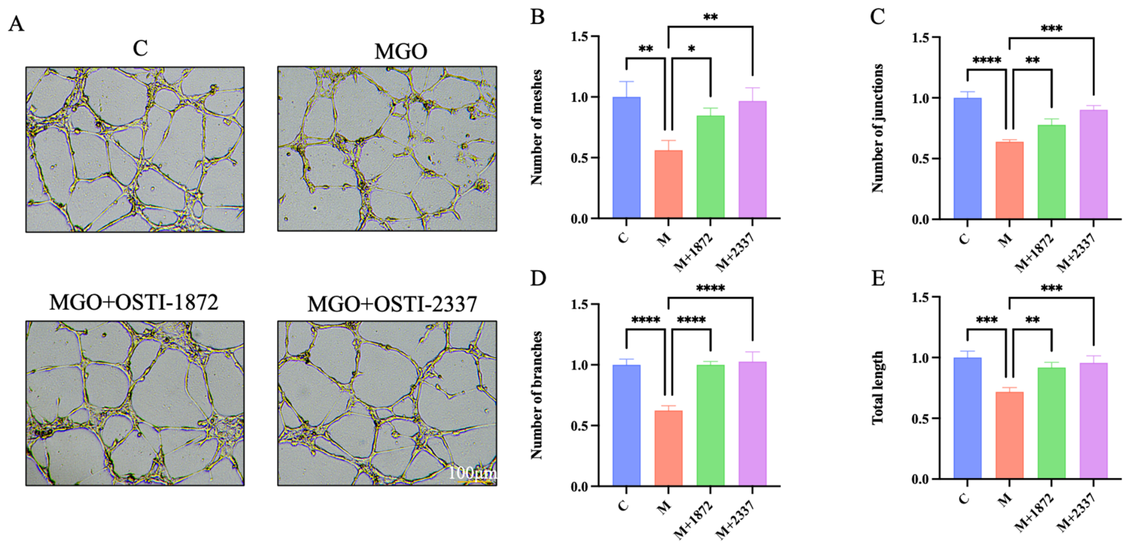 Biomolecules 16 01157 g007 Biomolecules 16 01157 g007