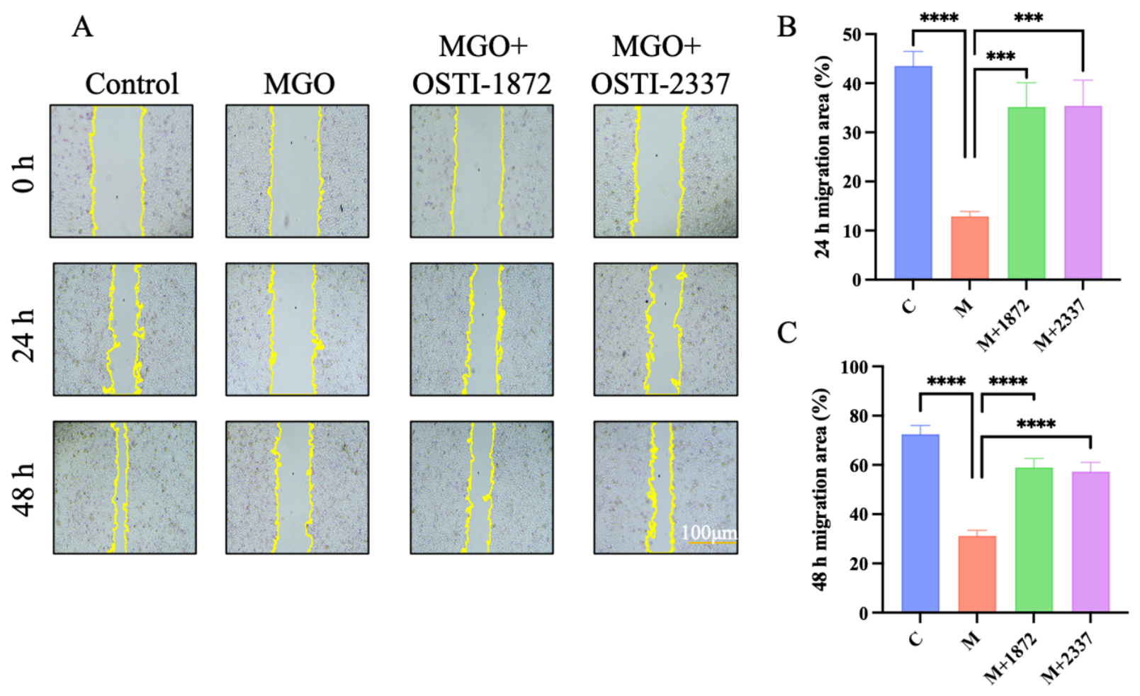 Biomolecules 16 01157 g008 Biomolecules 16 01157 g008