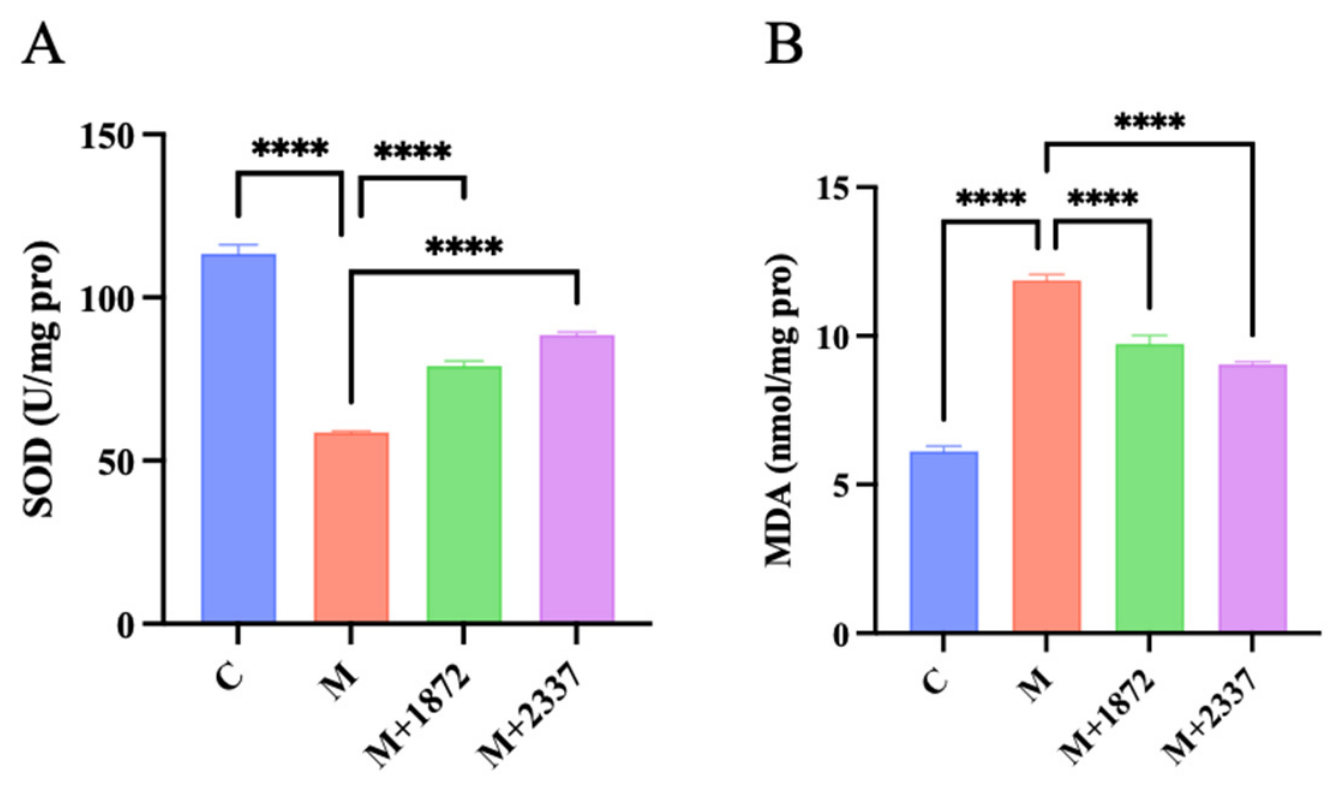 Biomolecules 16 01157 g010 Biomolecules 16 01157 g010
