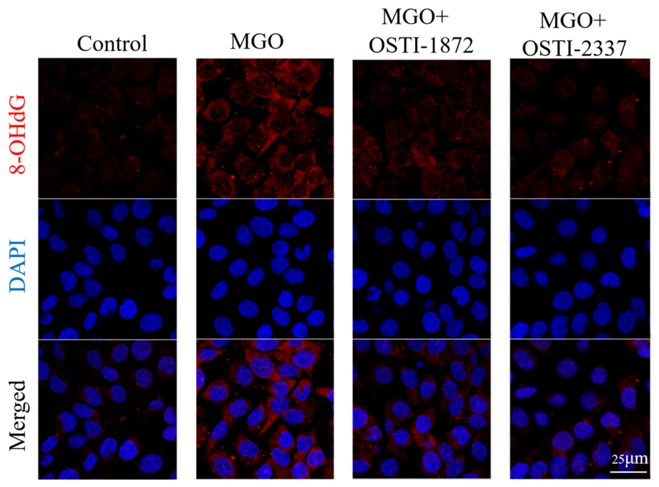 Biomolecules 16 01157 g011 Biomolecules 16 01157 g011