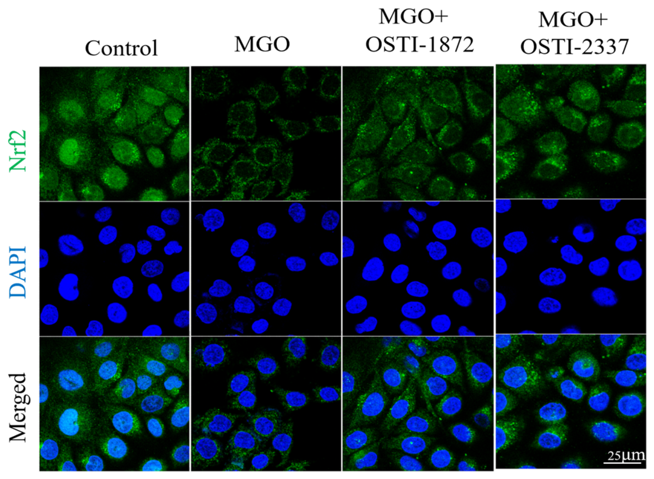 Biomolecules 16 01157 g012 Biomolecules 16 01157 g012