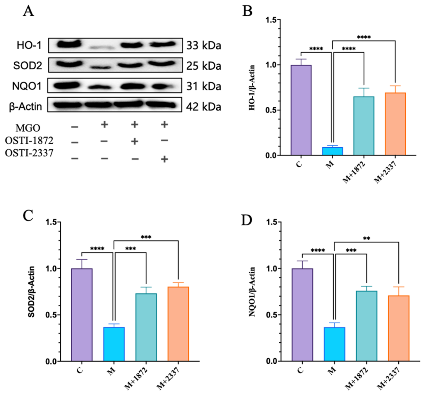 Biomolecules 16 01157 g014 Biomolecules 16 01157 g014