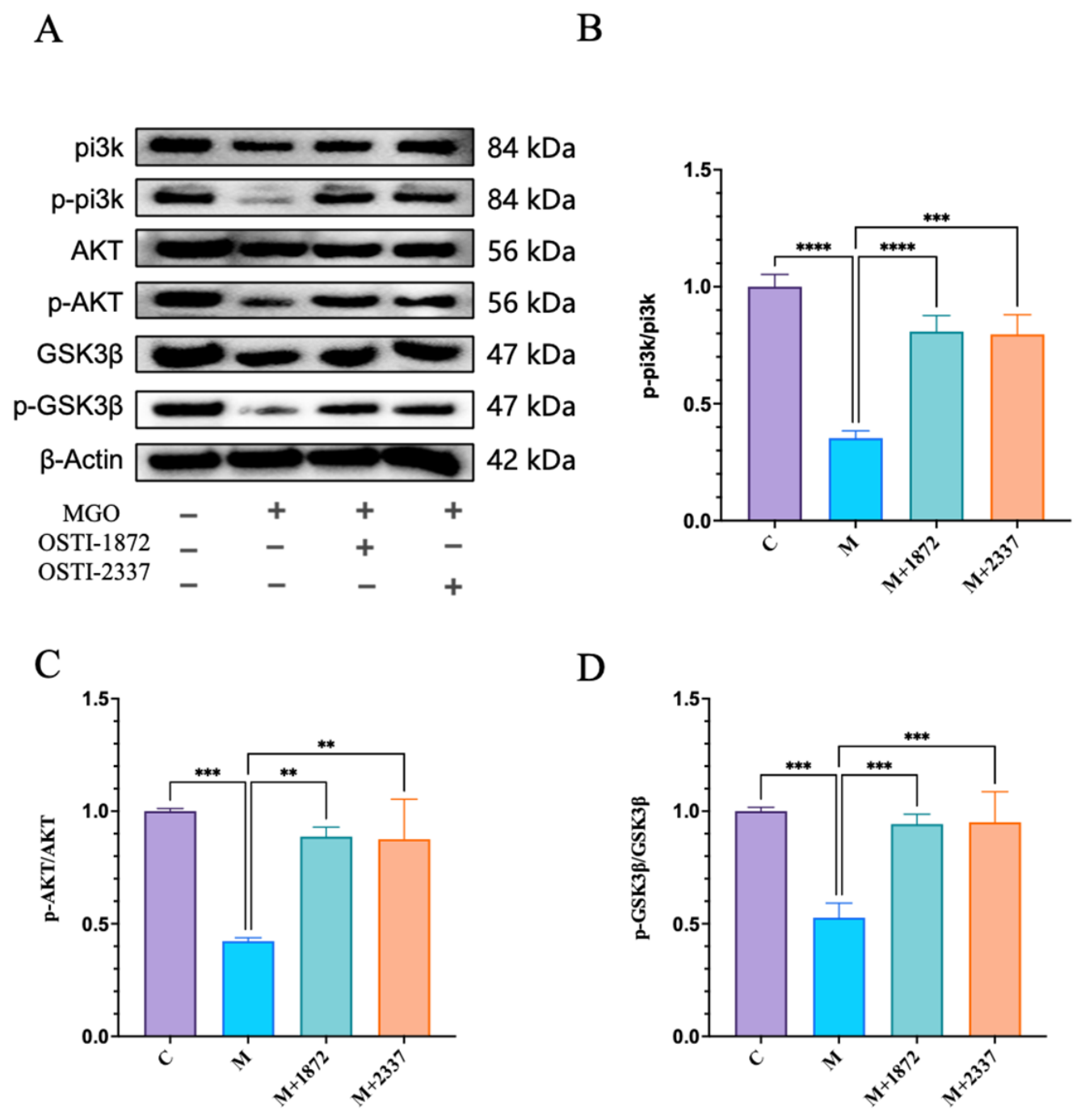 Biomolecules 16 01157 g015 Biomolecules 16 01157 g015