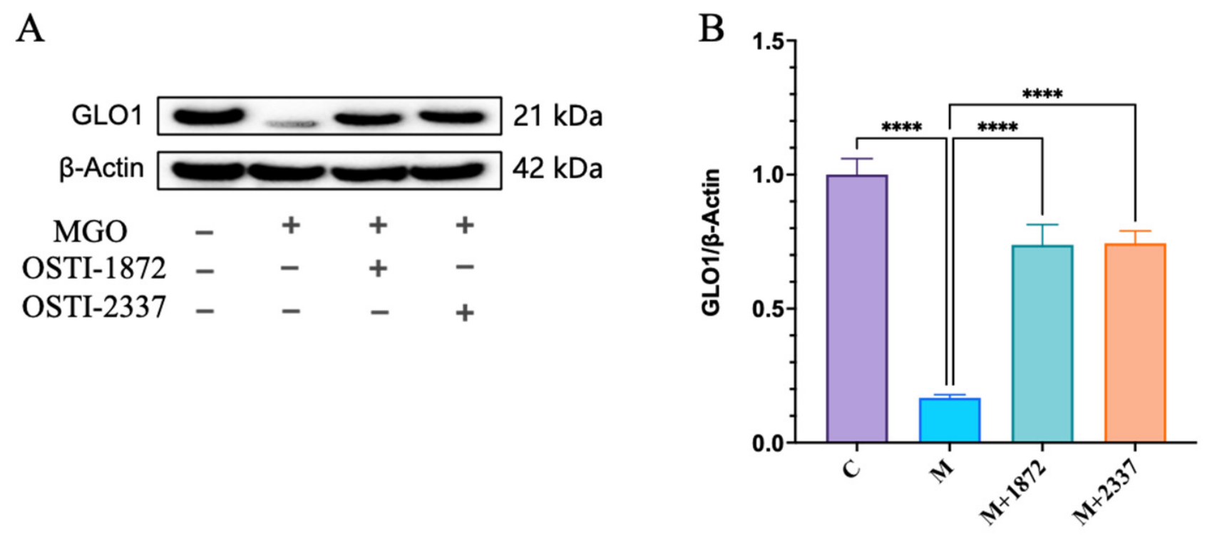 Biomolecules 16 01157 g016 Biomolecules 16 01157 g016