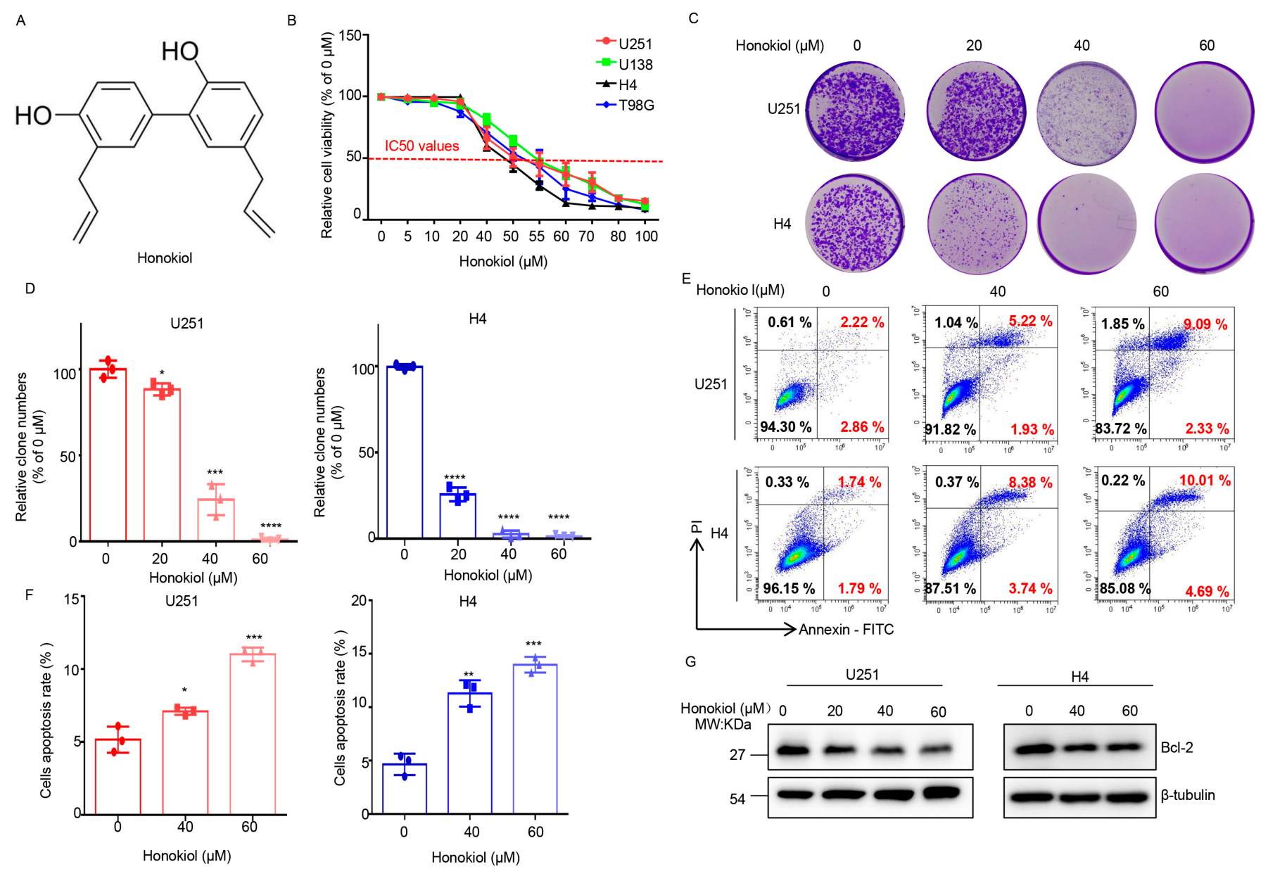 Biomolecules 16 01158 g001 Biomolecules 16 01158 g001