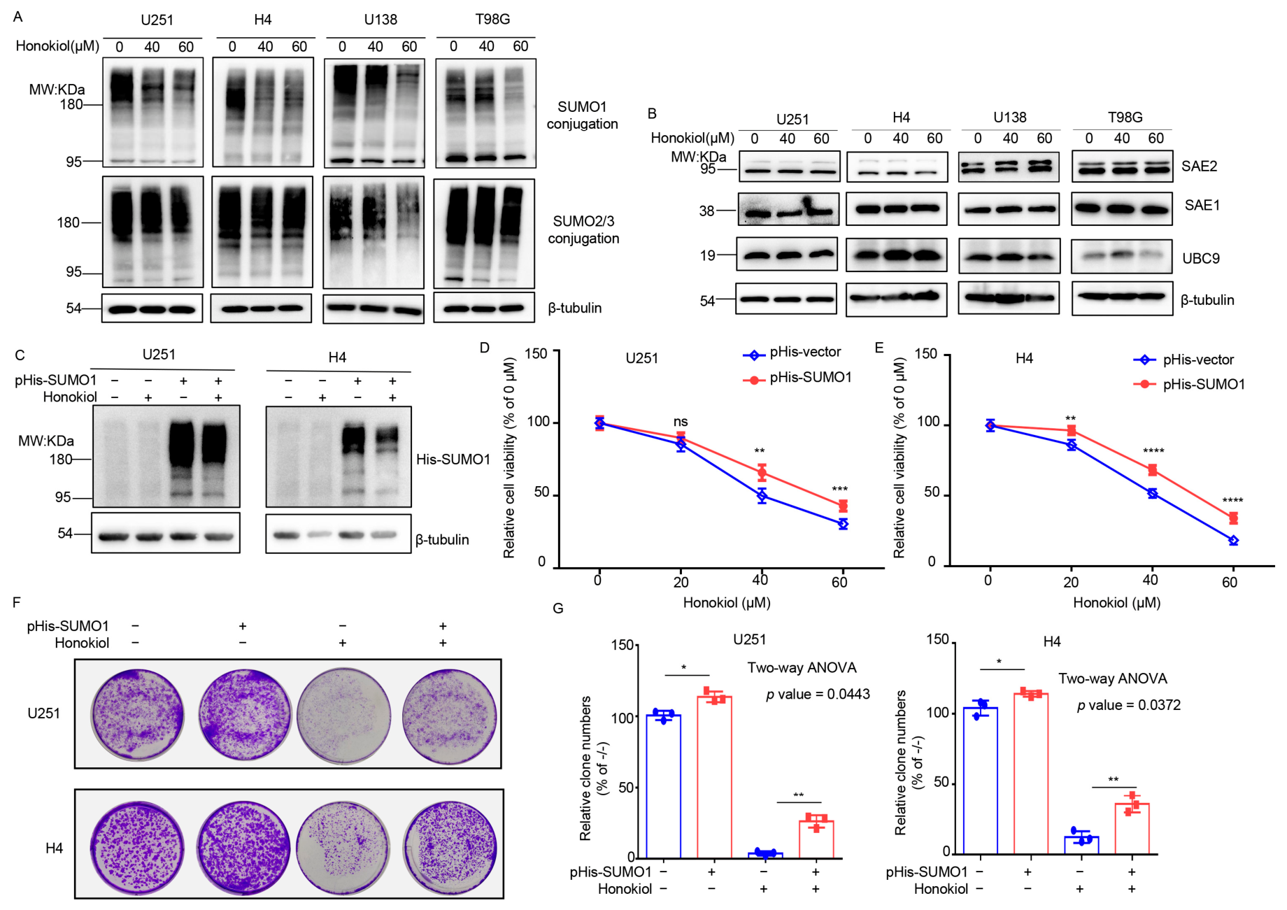 Biomolecules 16 01158 g002 Biomolecules 16 01158 g002