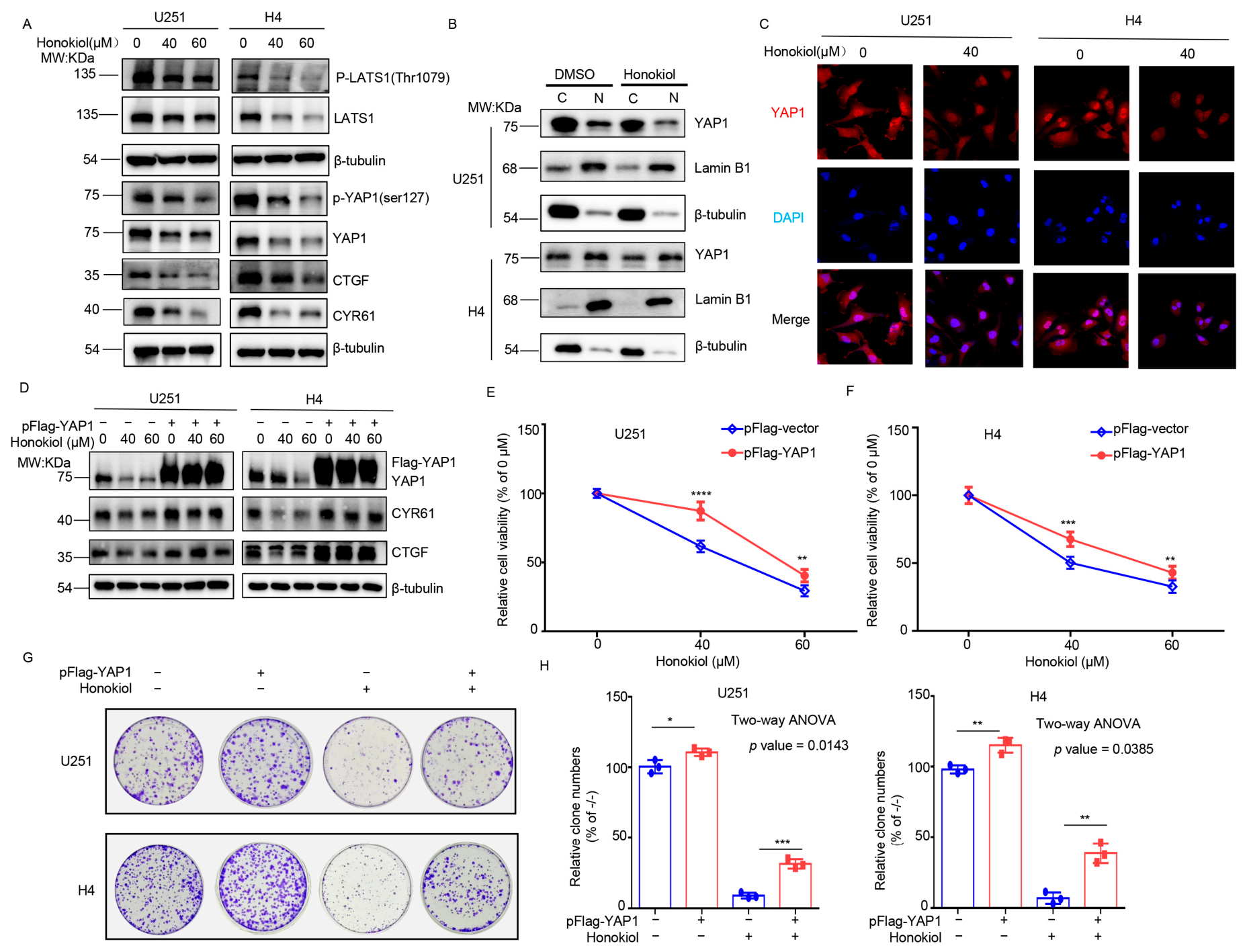 Biomolecules 16 01158 g004 Biomolecules 16 01158 g004