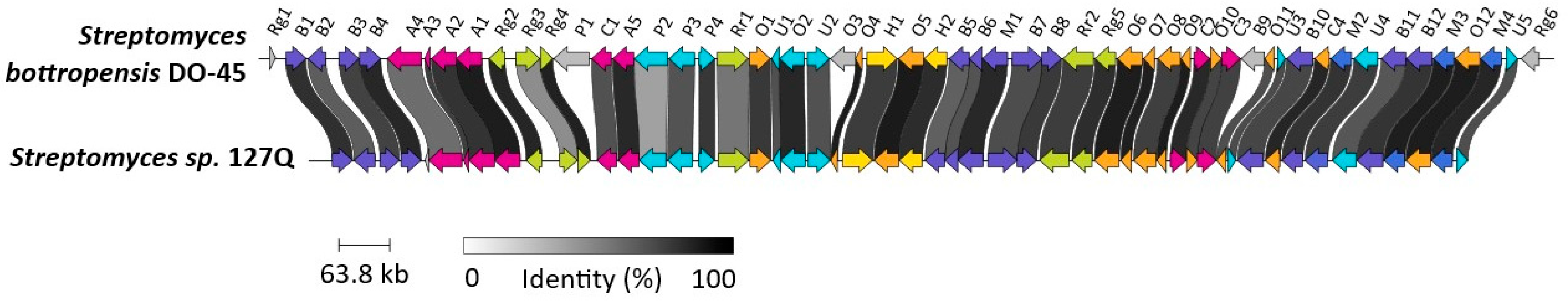 Biomolecules 16 01159 g003 Biomolecules 16 01159 g003