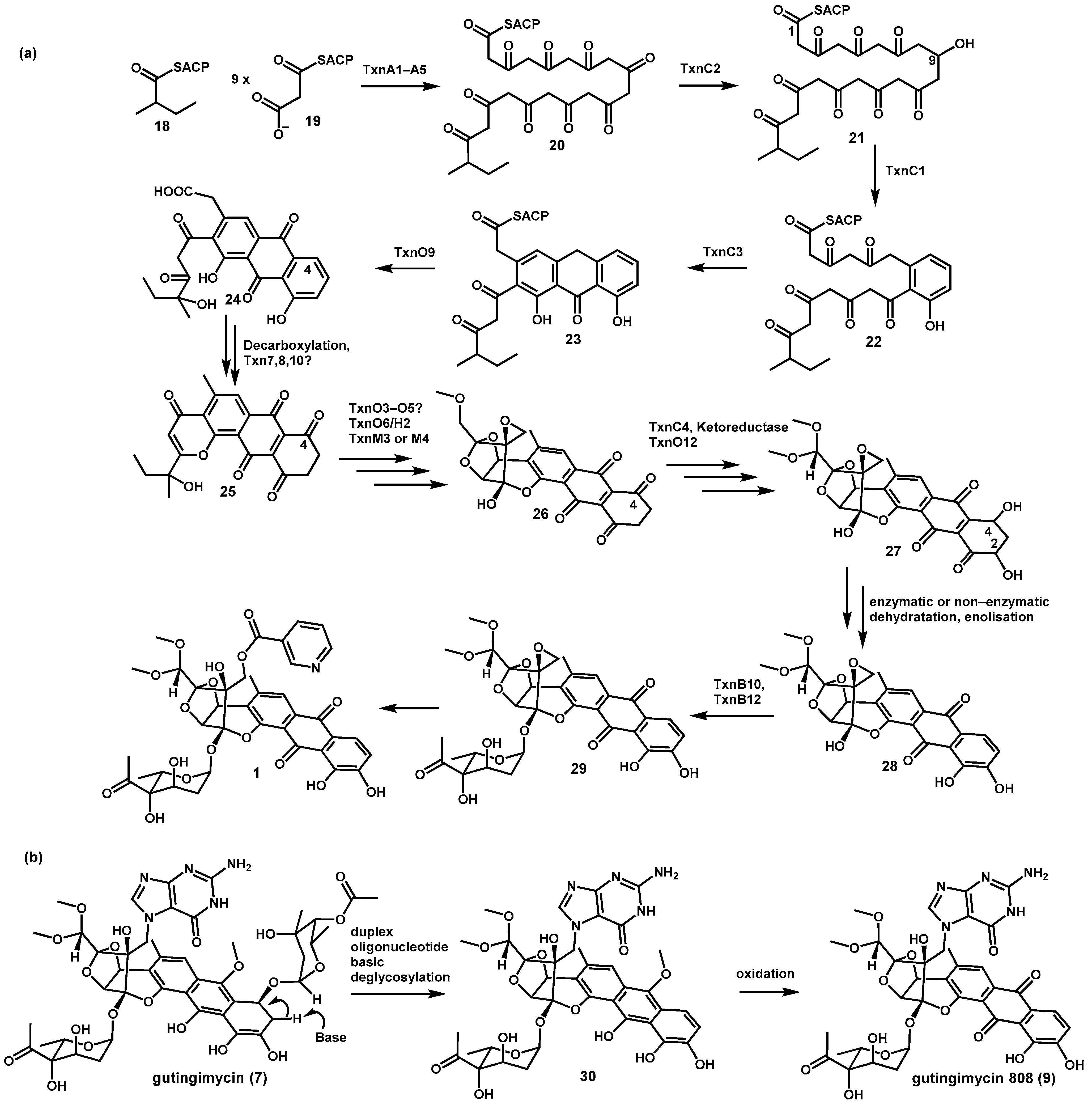 Biomolecules 16 01159 g005 Biomolecules 16 01159 g005