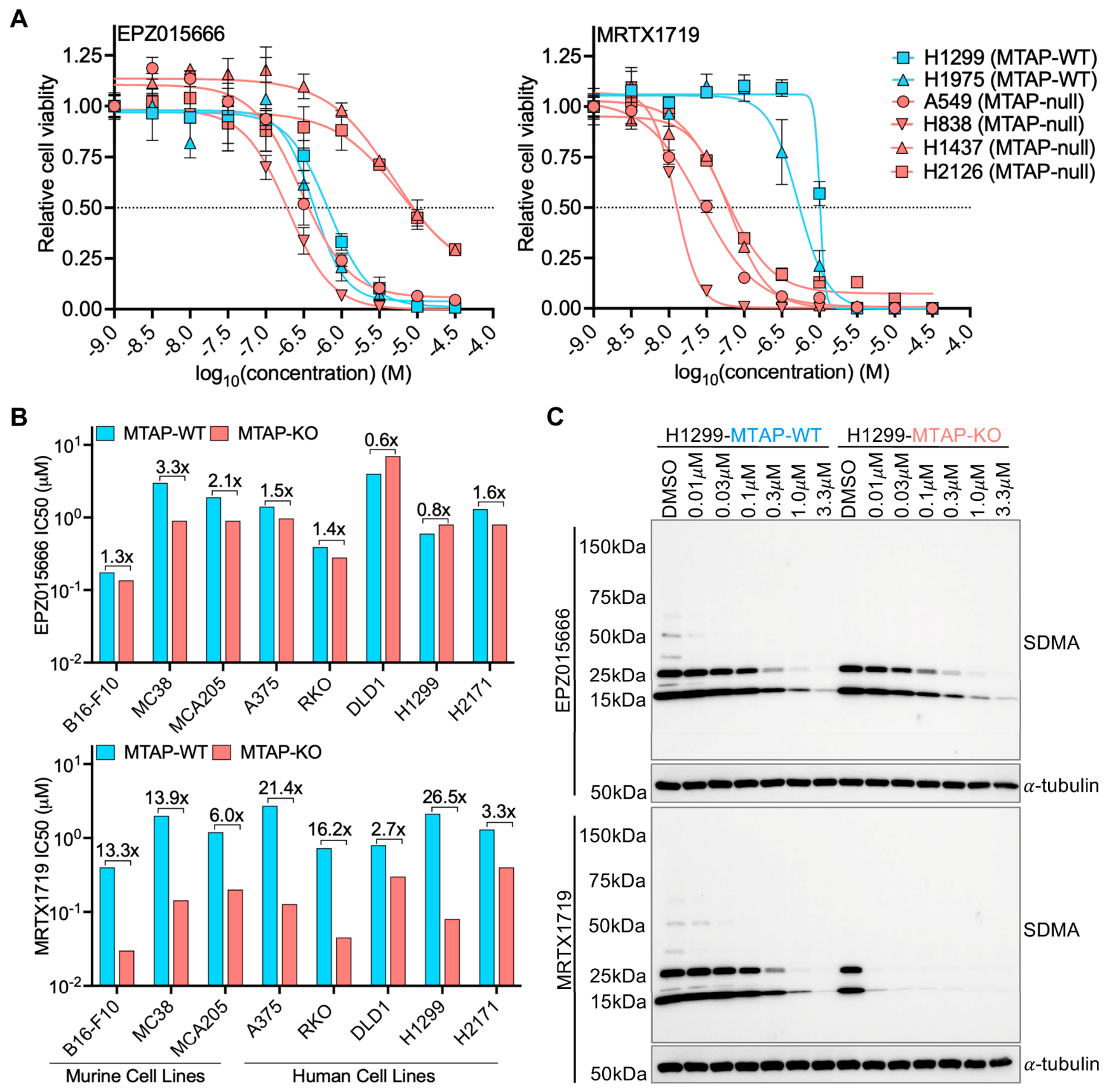 Biomolecules 16 01198 g001 Biomolecules 16 01198 g001