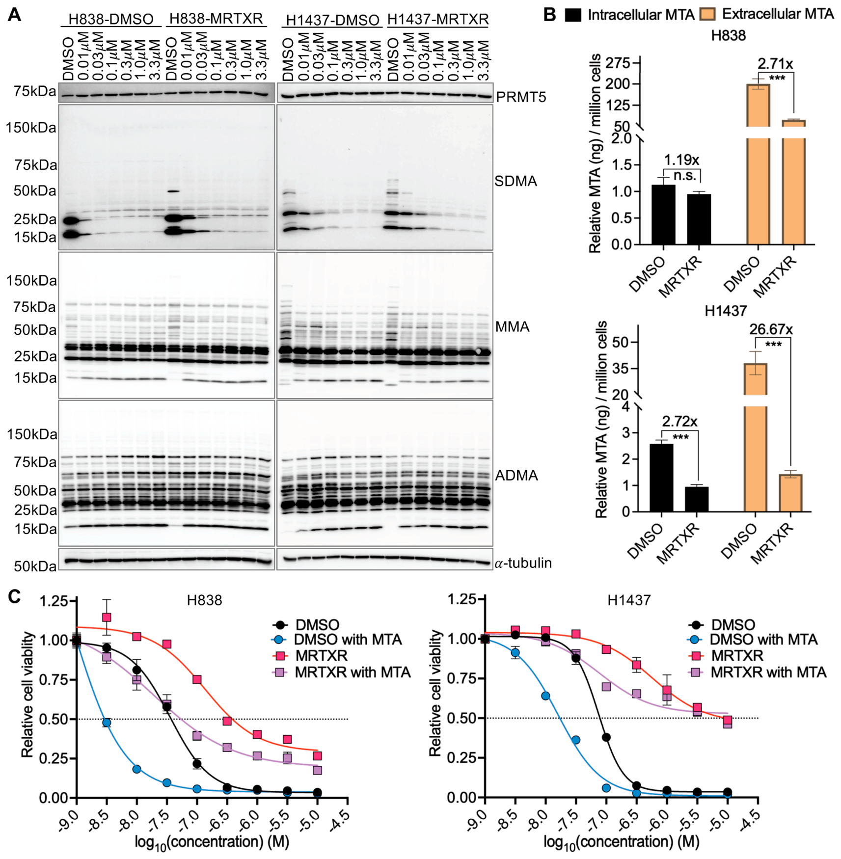 Biomolecules 16 01198 g003 Biomolecules 16 01198 g003