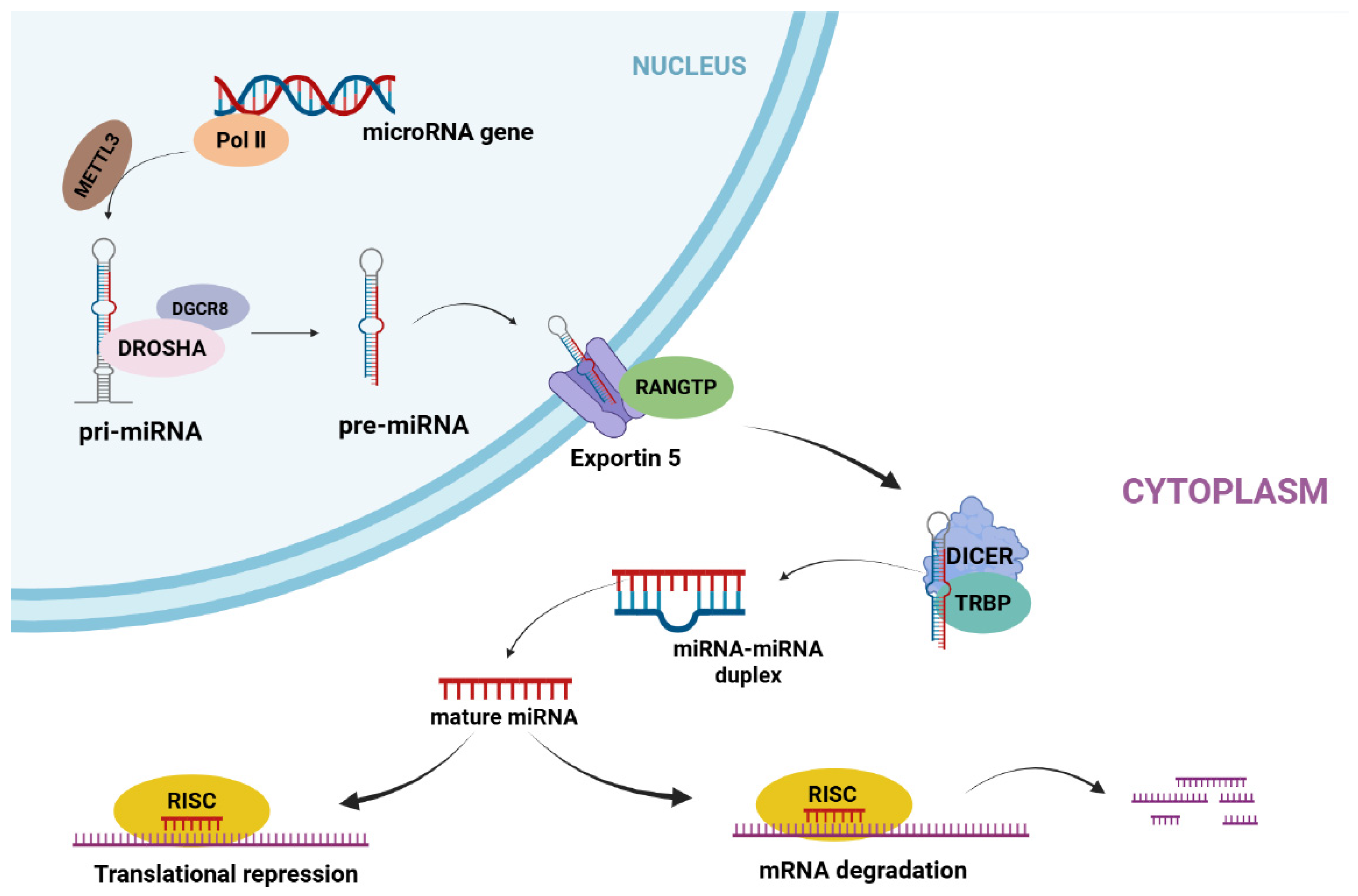 Biomolecules 16 01199 g001 Biomolecules 16 01199 g001