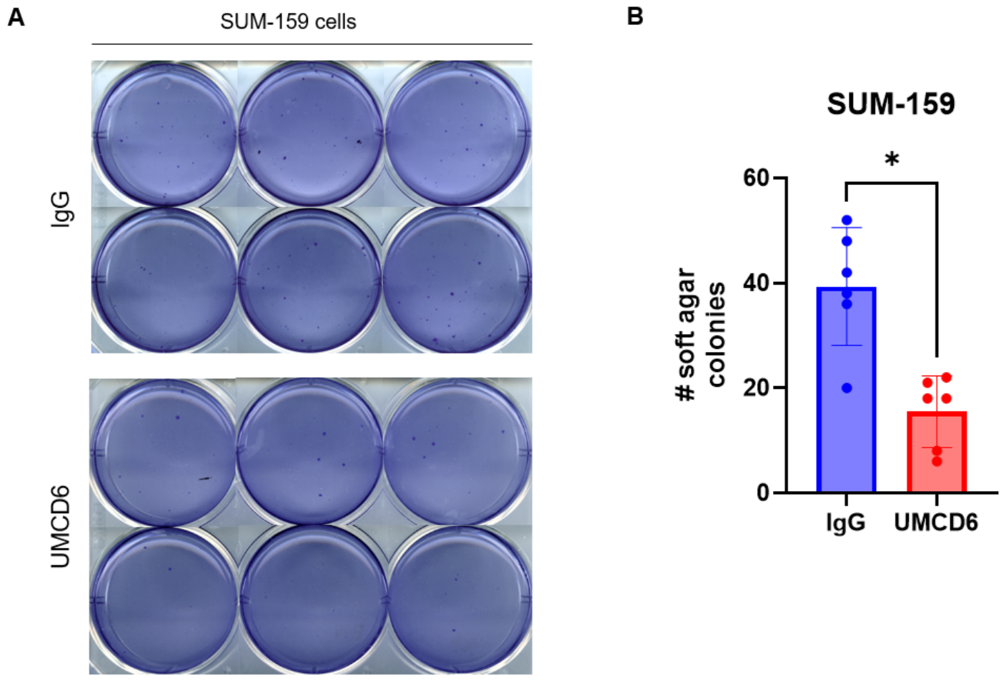 Biomolecules 16 01202 g004 Biomolecules 16 01202 g004