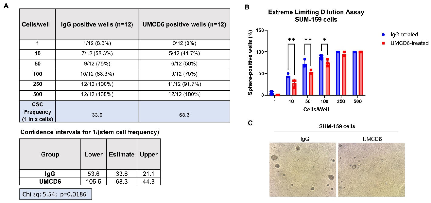 Biomolecules 16 01202 g005 Biomolecules 16 01202 g005